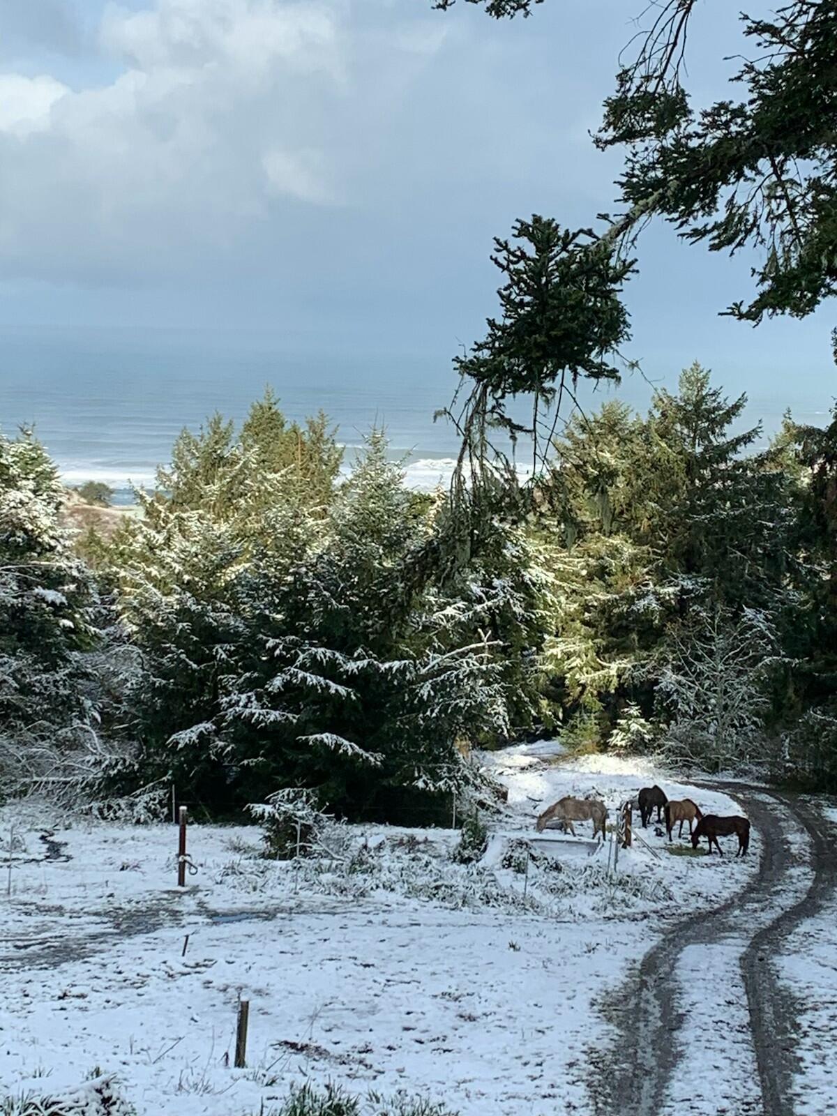 0000 Centerville Road