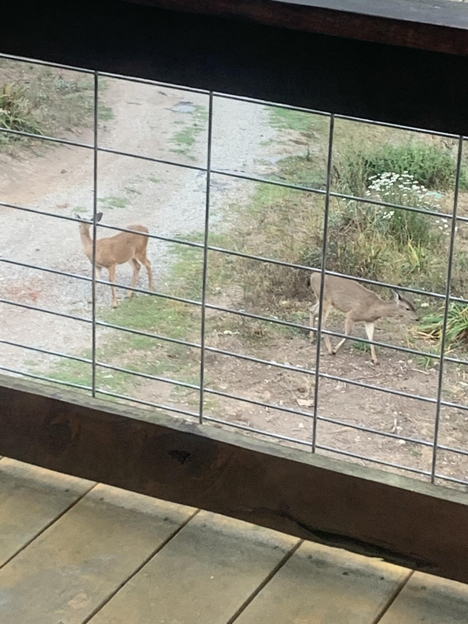 0000 Centerville Road