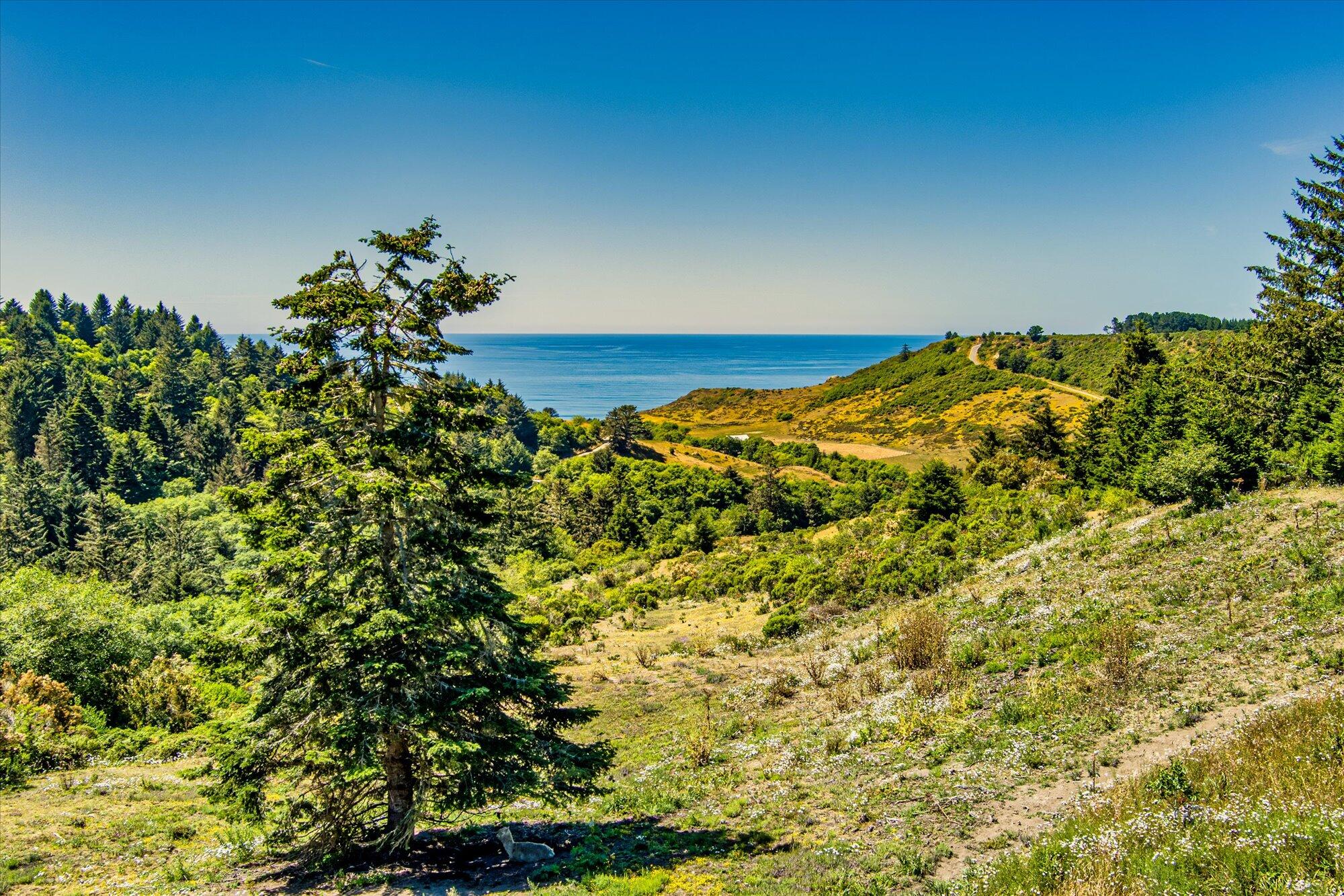 0000 Centerville Road