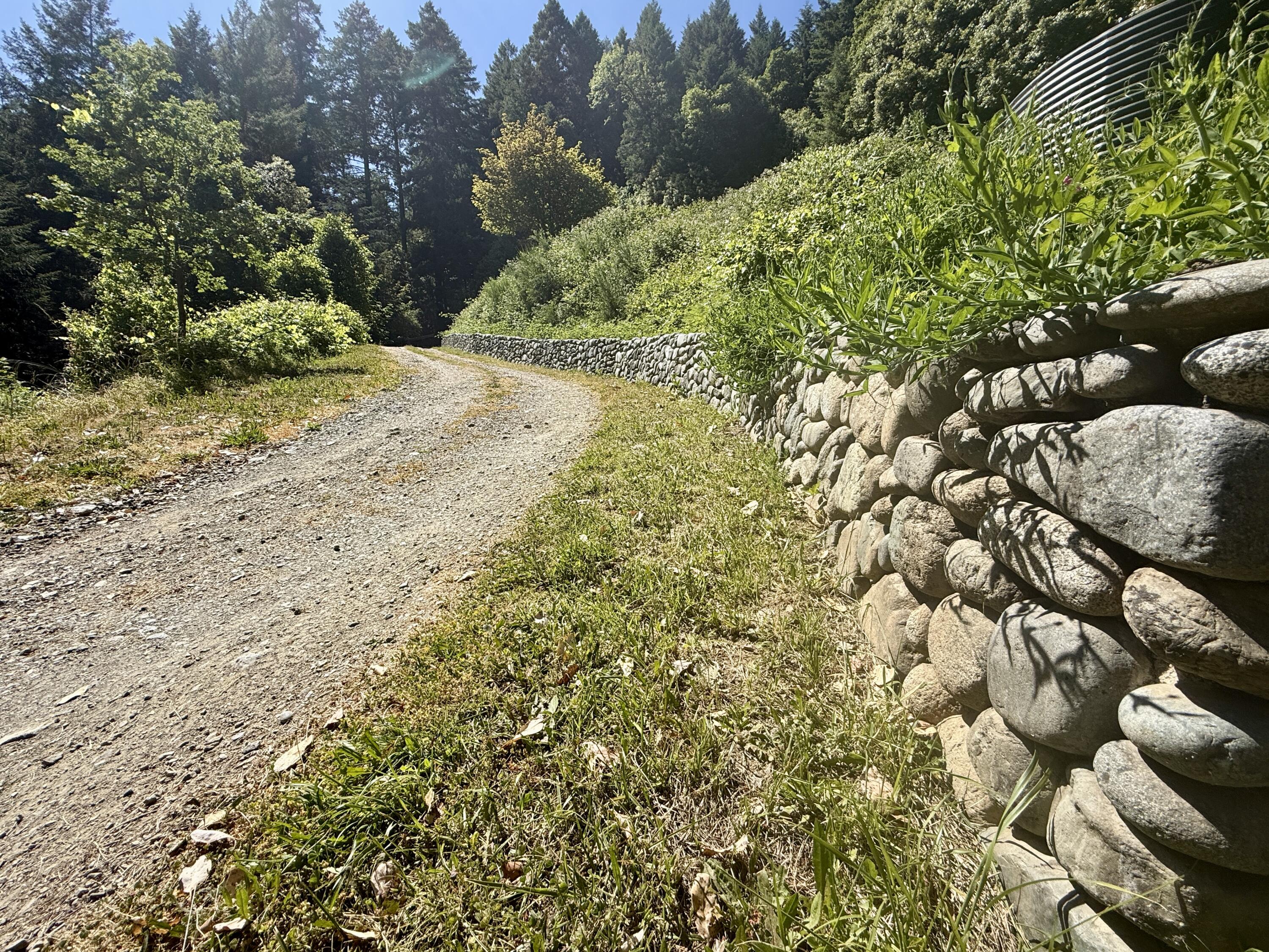 787 Owl Mine Road