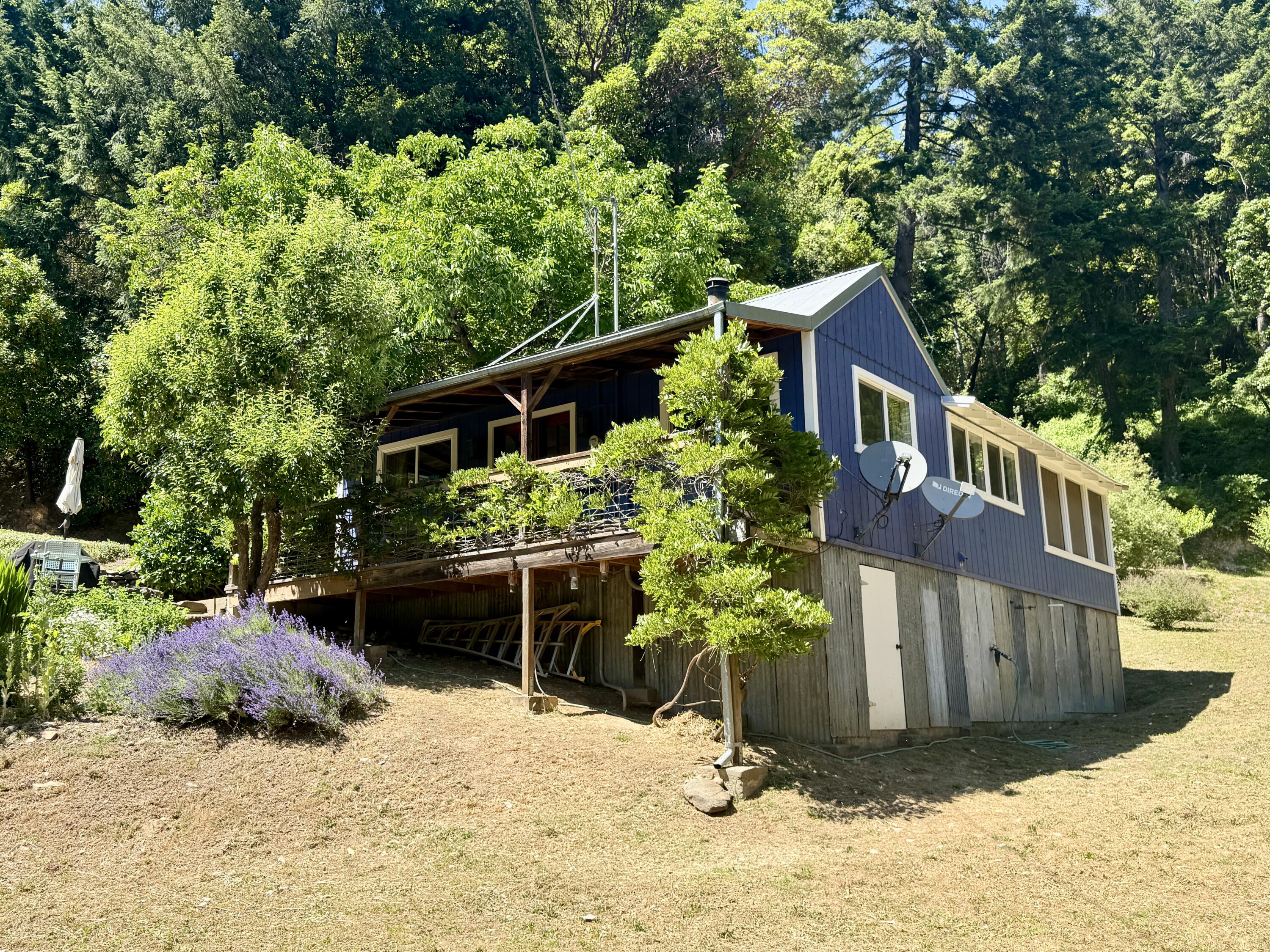 787 Owl Mine Road