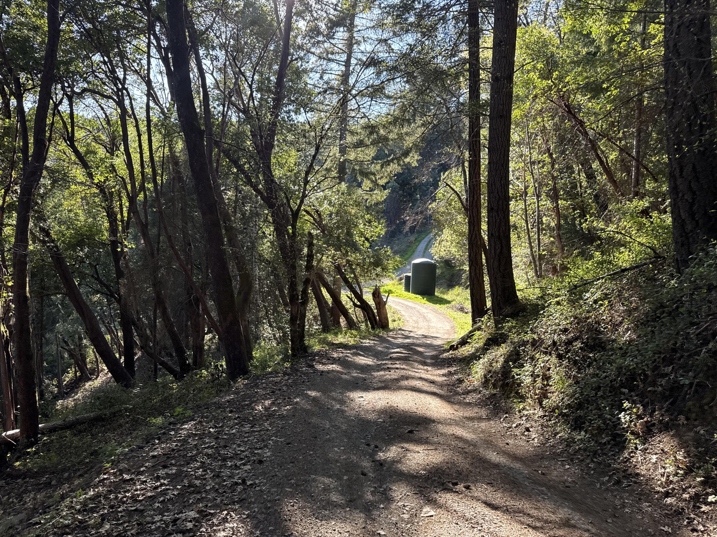 787 Owl Mine Road