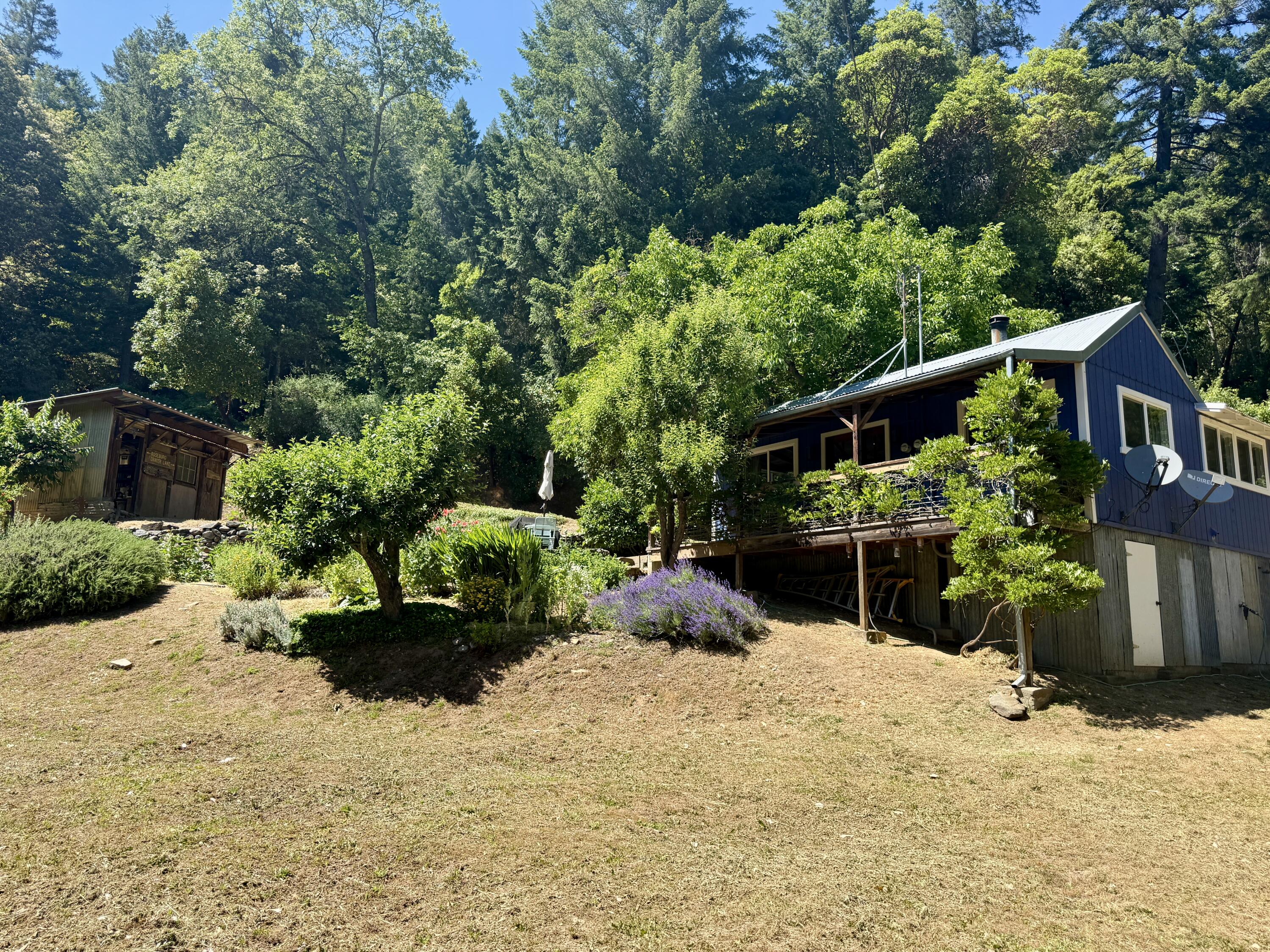 787 Owl Mine Road