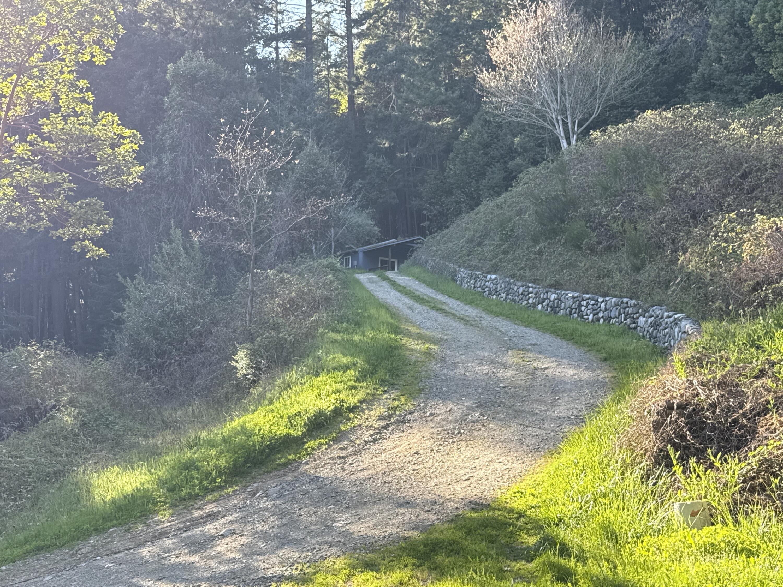 787 Owl Mine Road