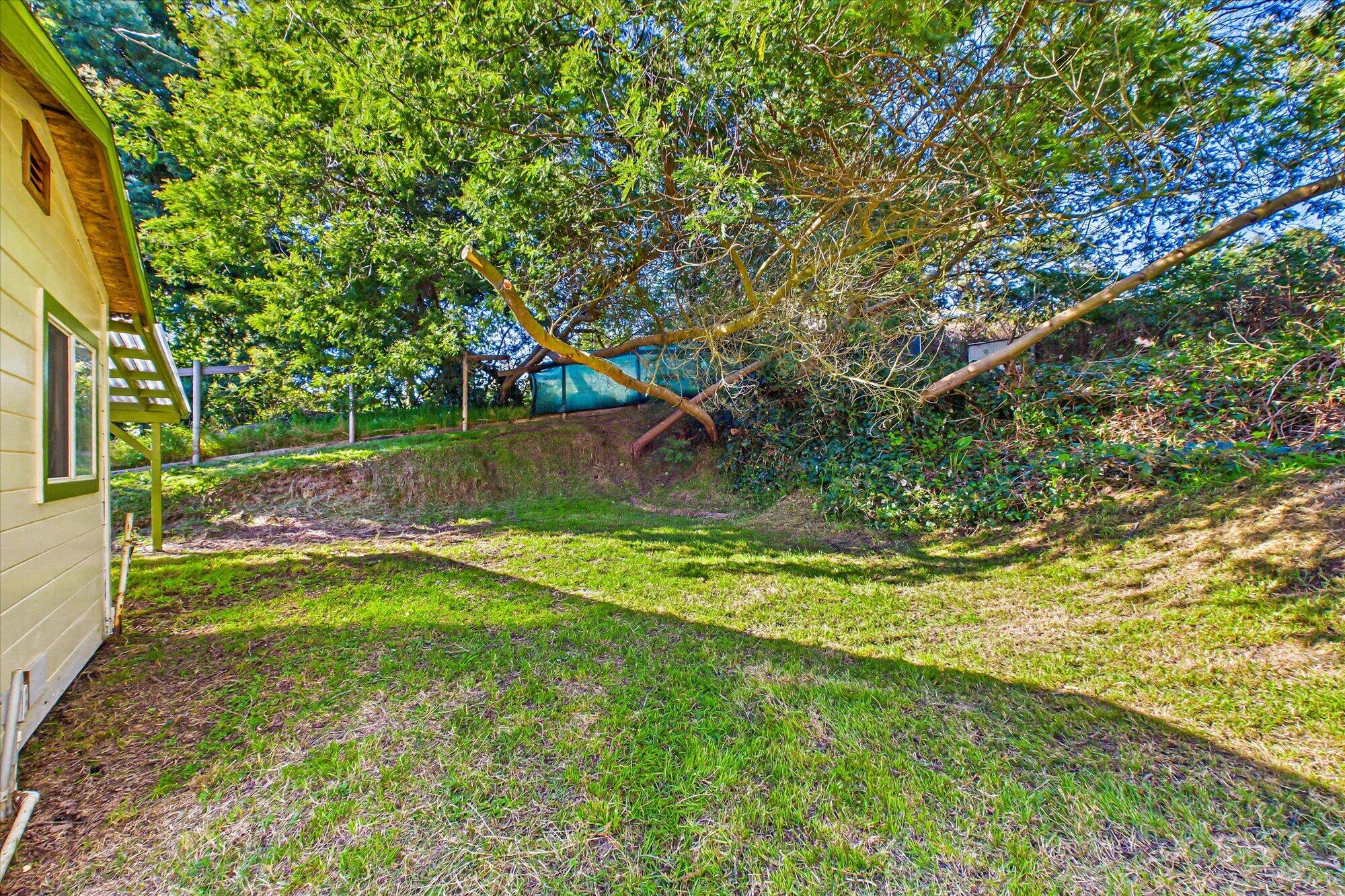 887 Fernbridge Drive