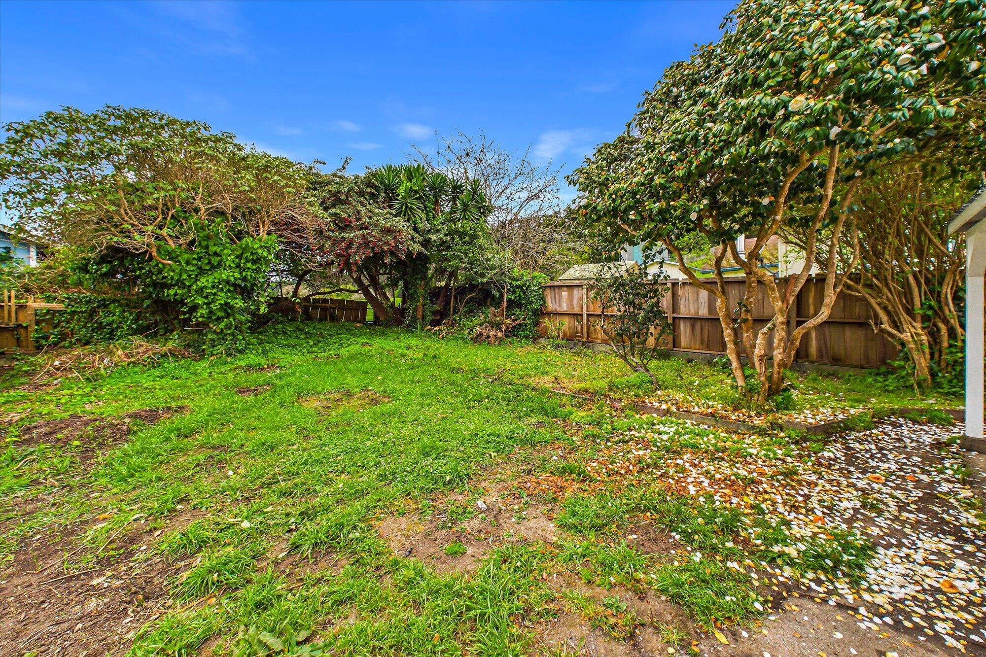 355 Douglas Street