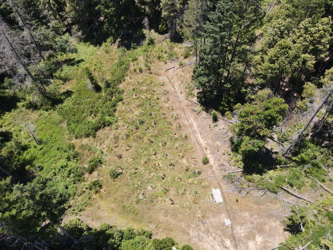 160 Acres Alderpoint Road