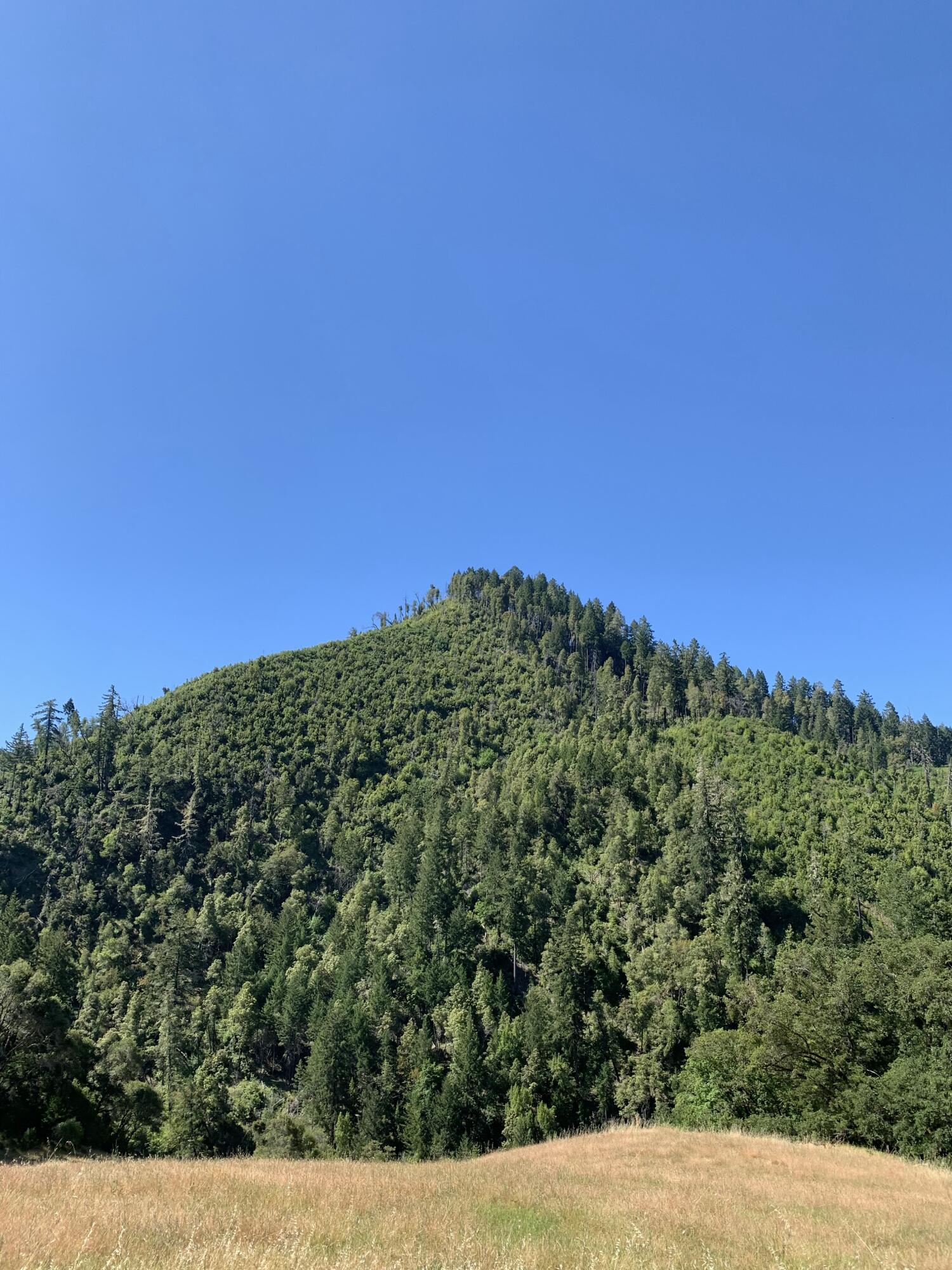 160 Acres Alderpoint Road