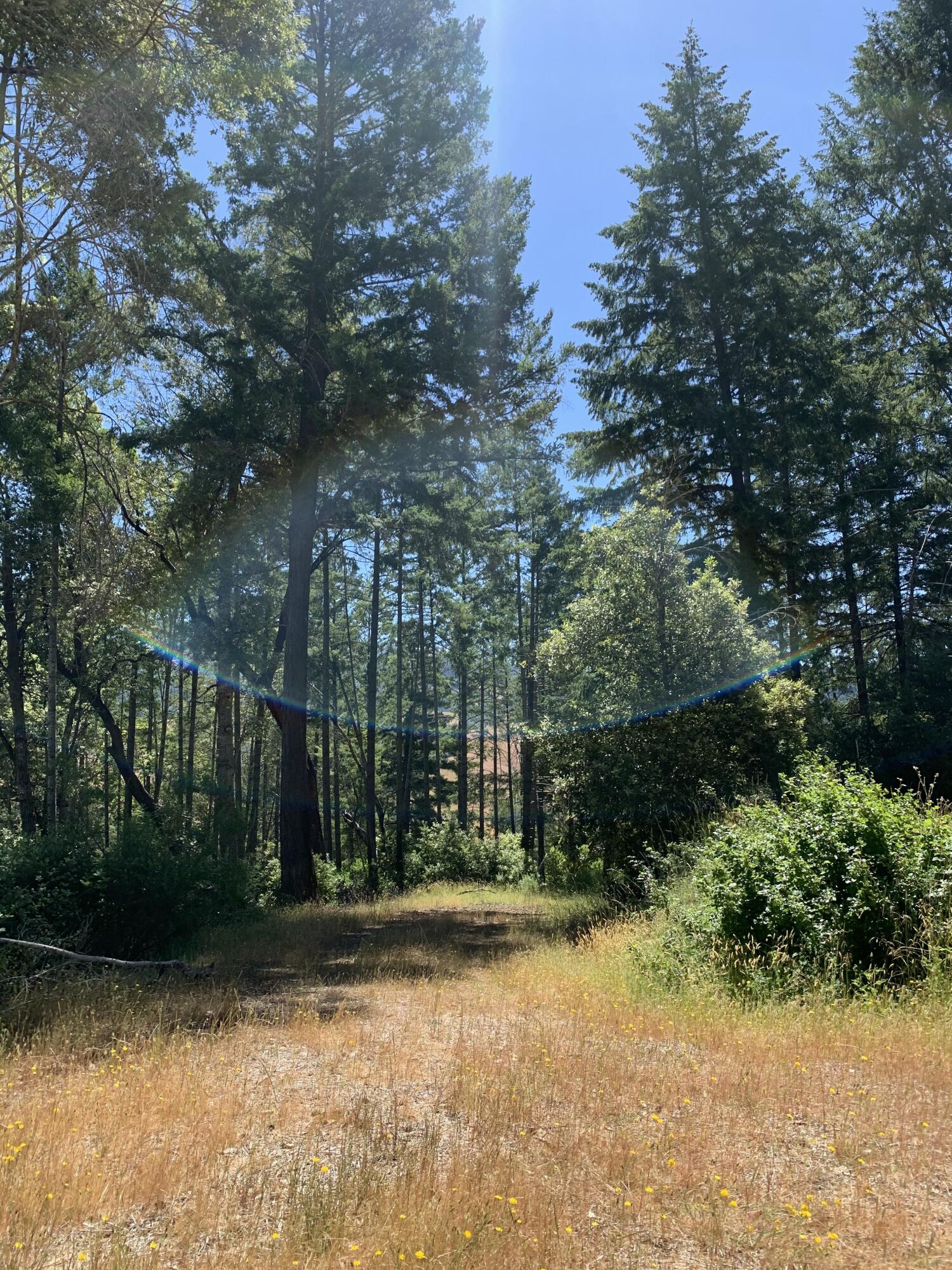 160 Acres Alderpoint Road