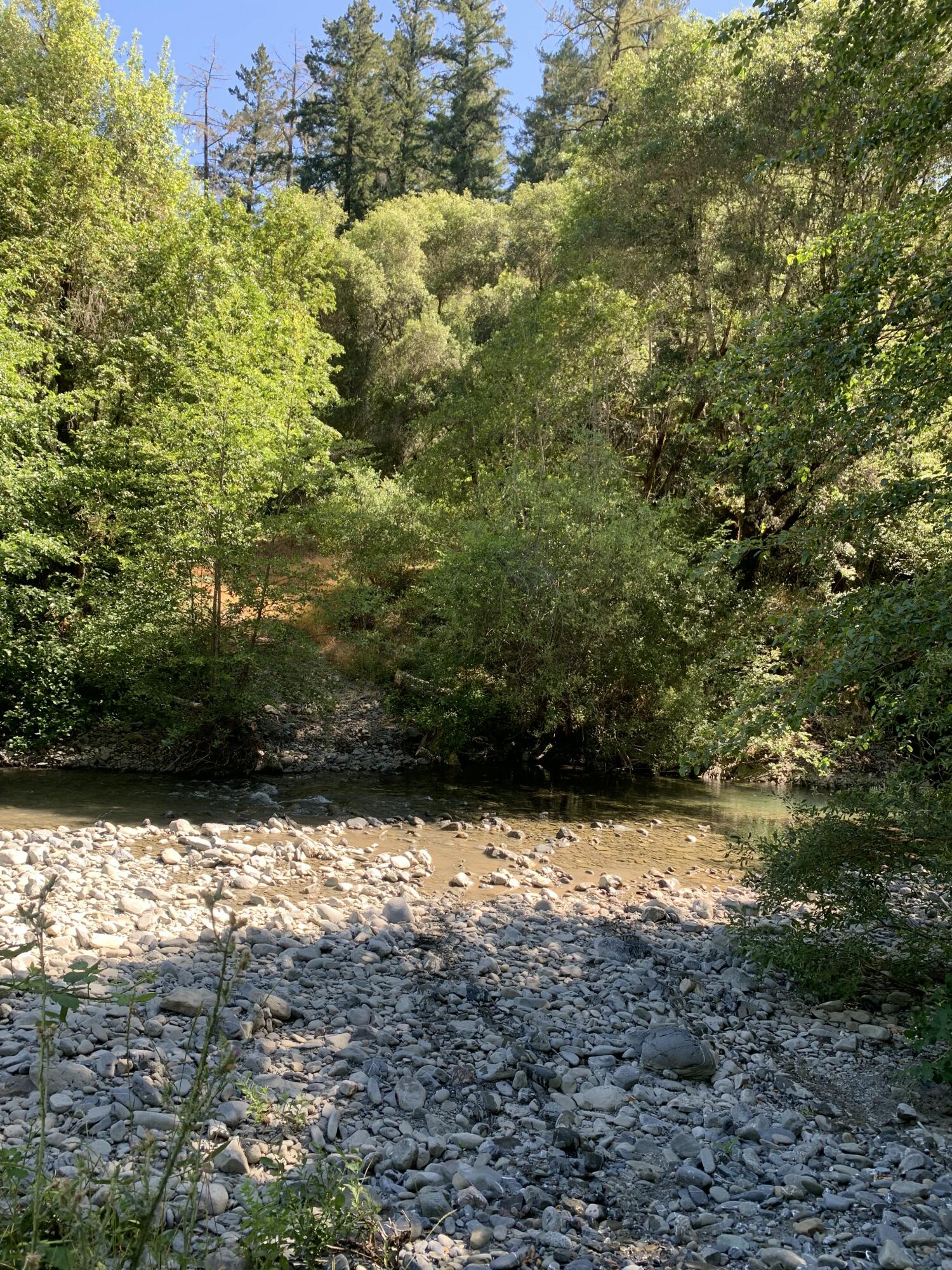 160 Acres Alderpoint Road
