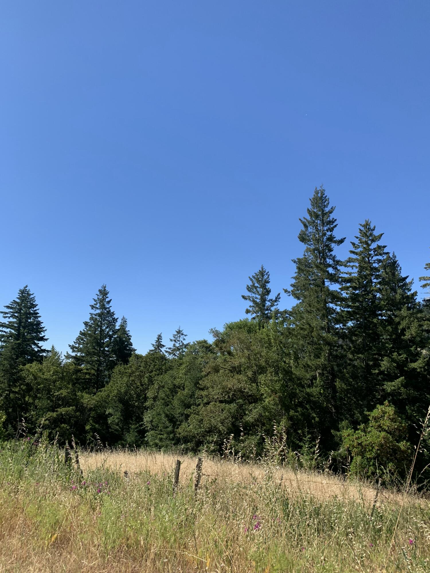 160 Acres Alderpoint Road