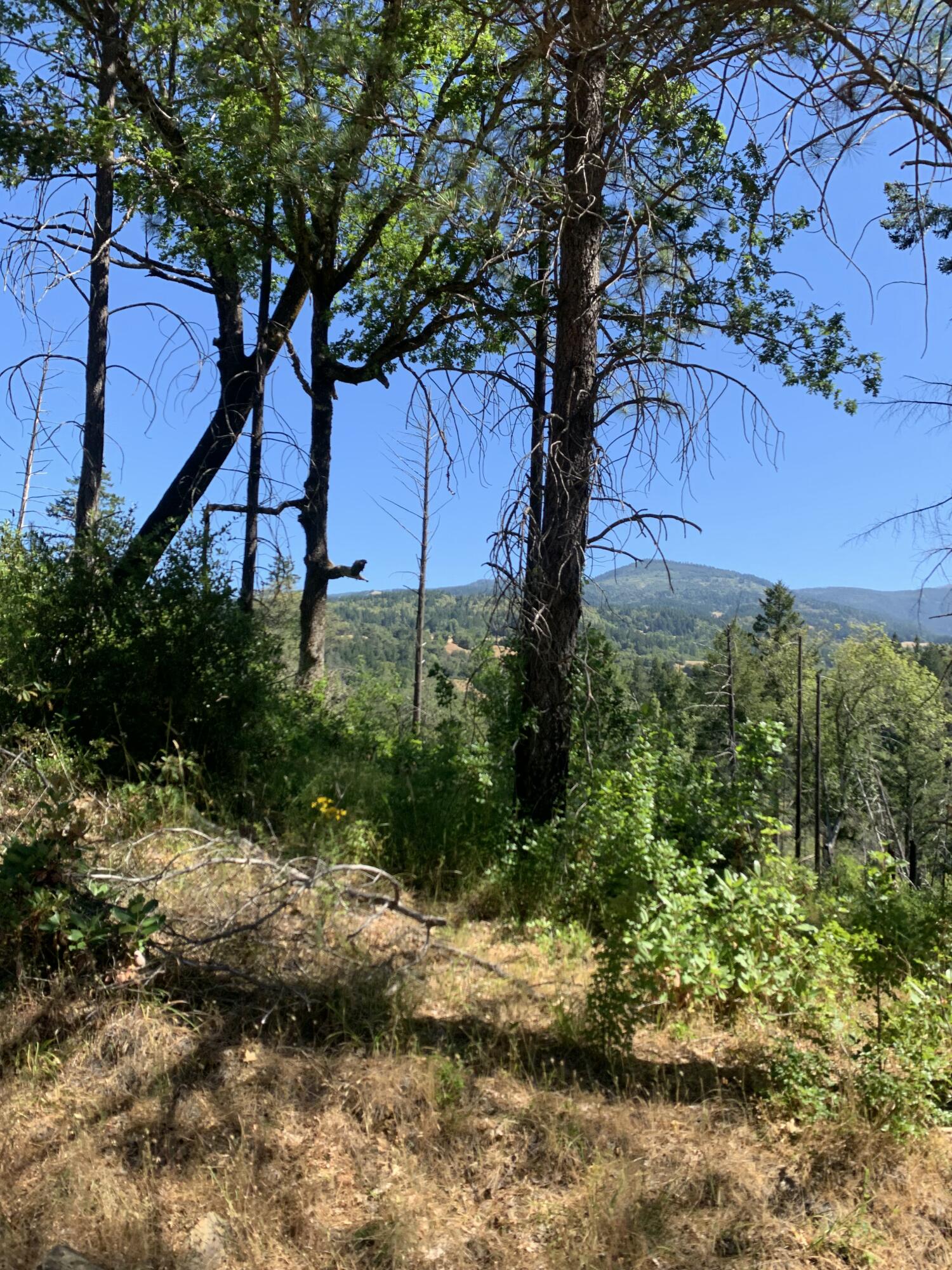 160 Acres Alderpoint Road