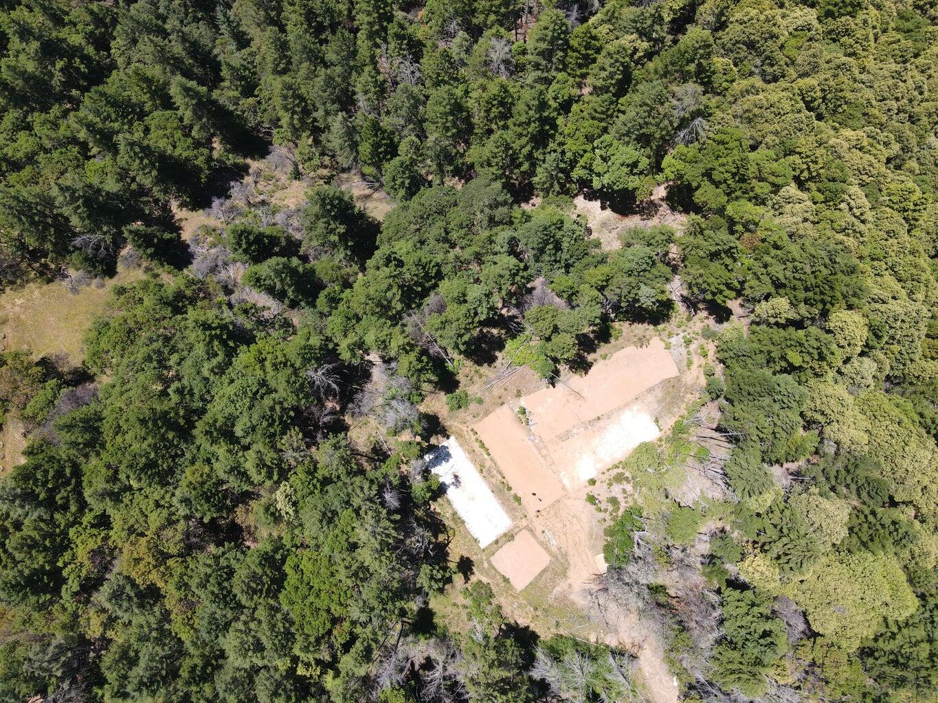 160 Acres Alderpoint Road