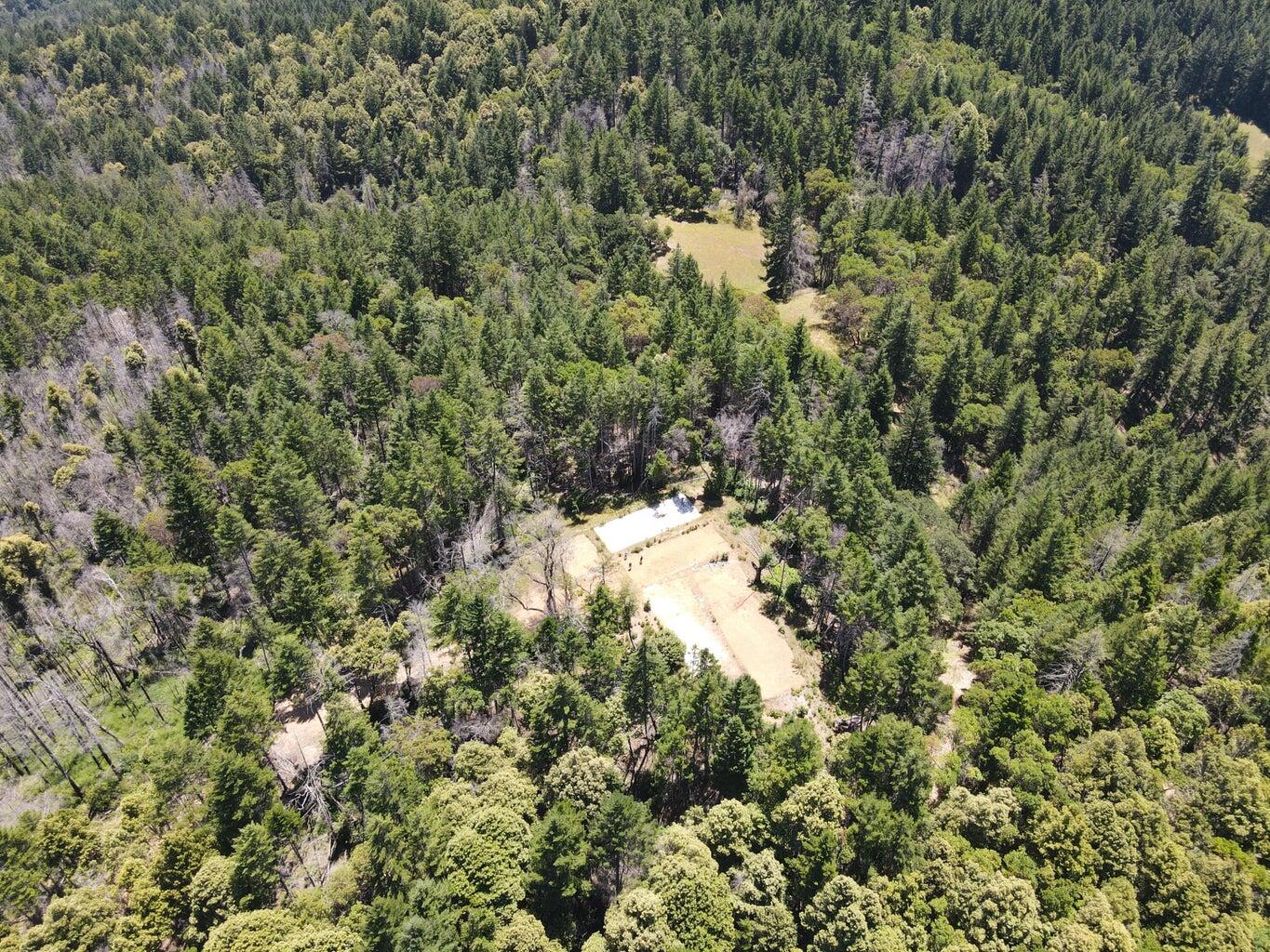 160 Acres Alderpoint Road