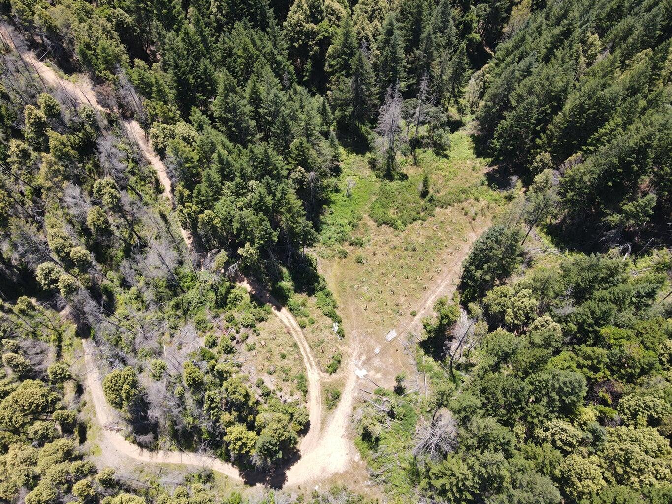 160 Acres Alderpoint Road
