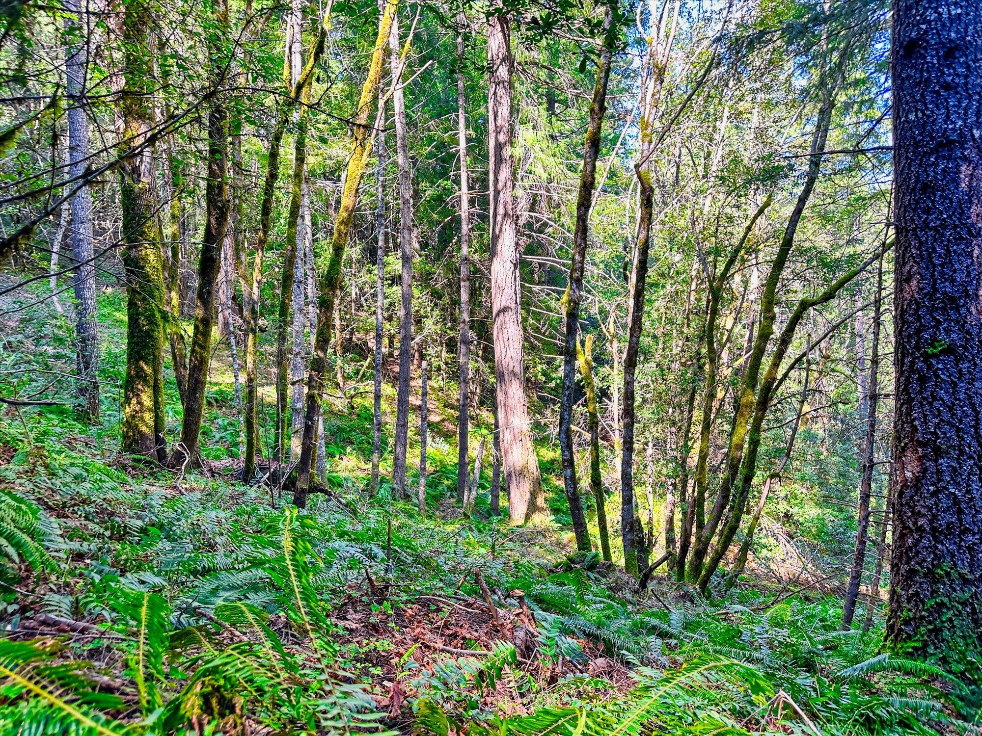 1400 Titlow Hill Road