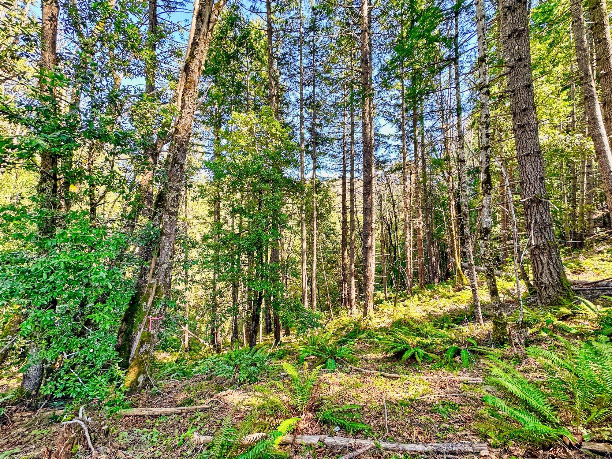 1400 Titlow Hill Road
