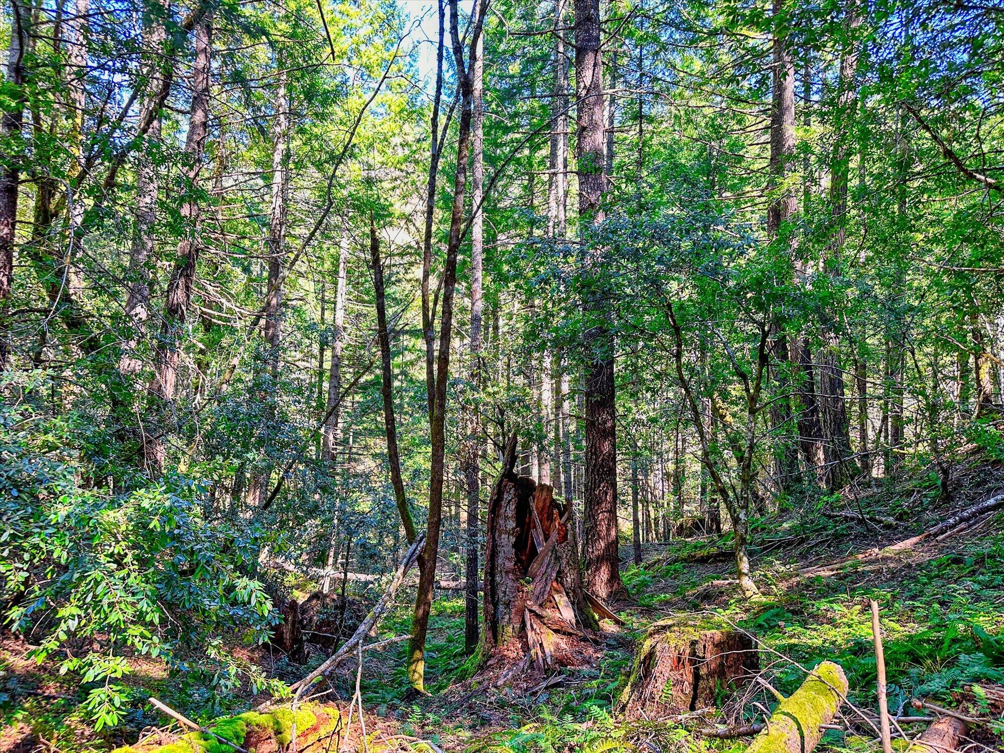 1400 Titlow Hill Road