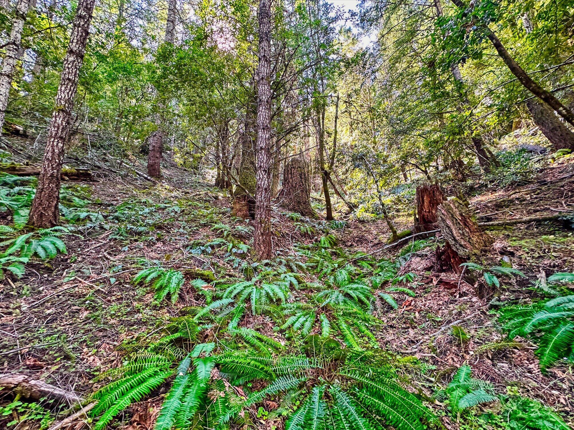 1400 Titlow Hill Road