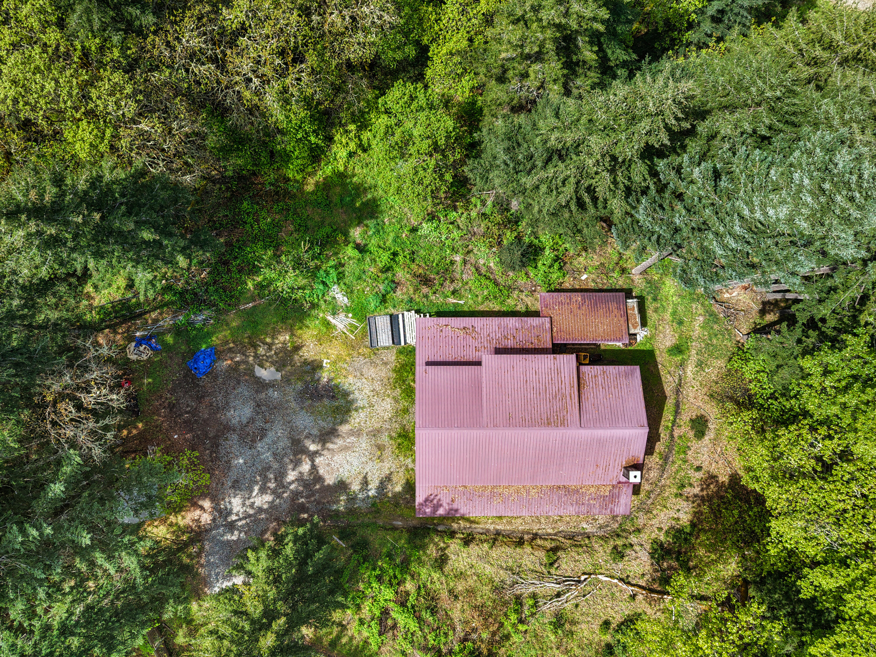 480 Saber Tooth Road