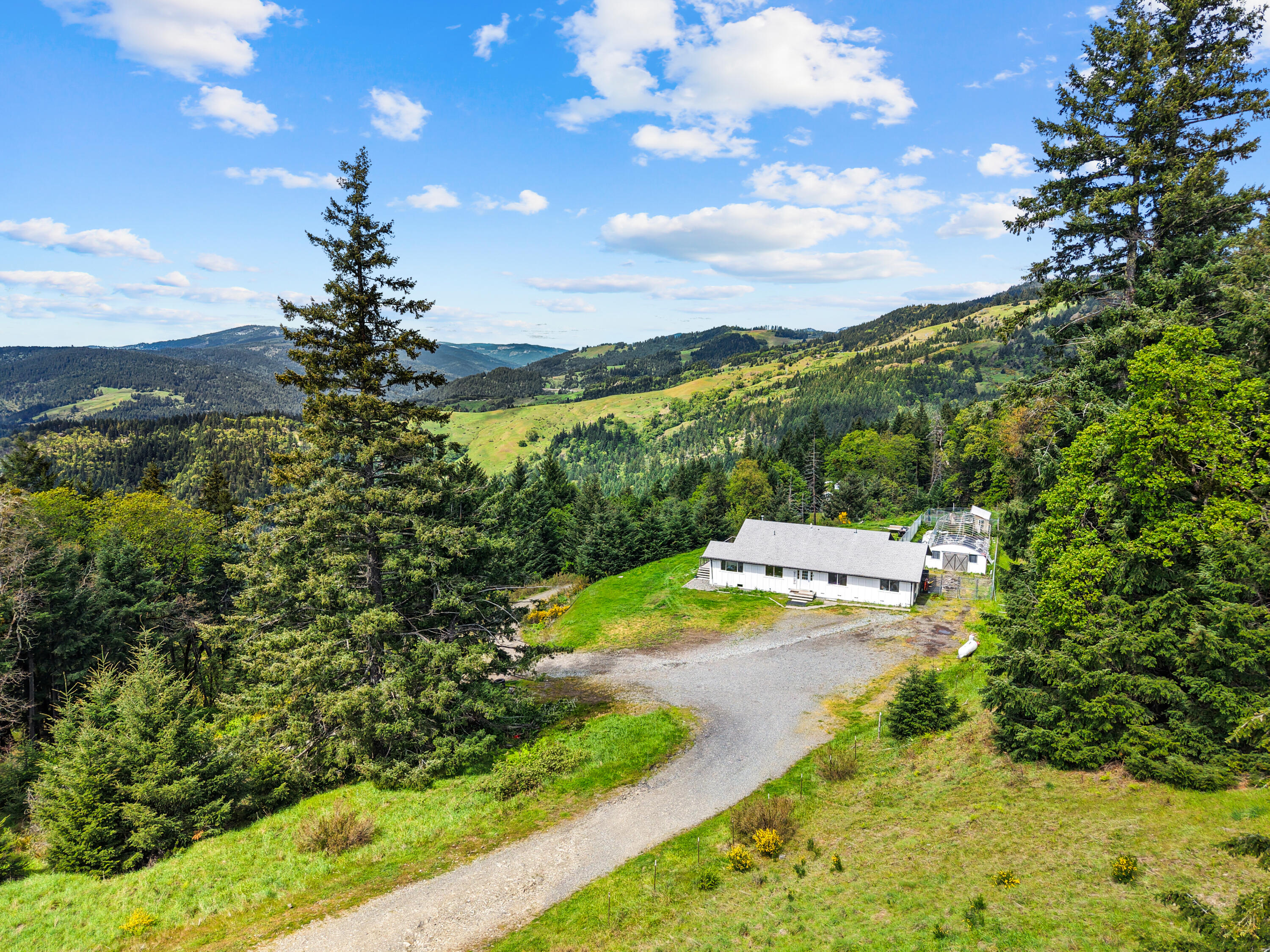 480 Saber Tooth Road