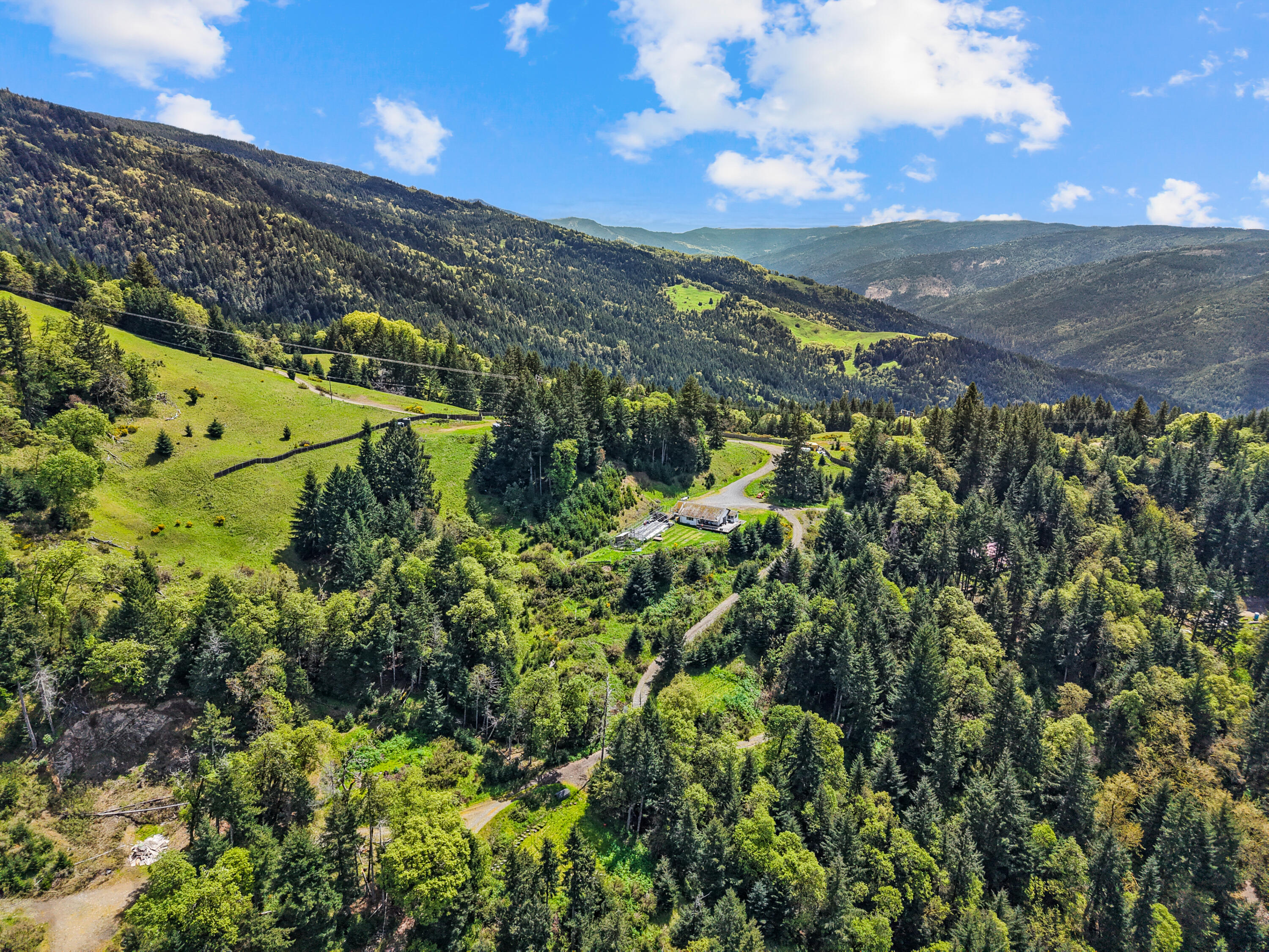 480 Saber Tooth Road