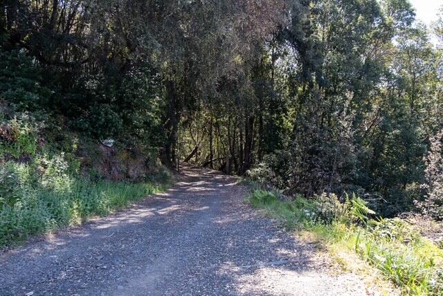 5270 Wilder Ridge Road