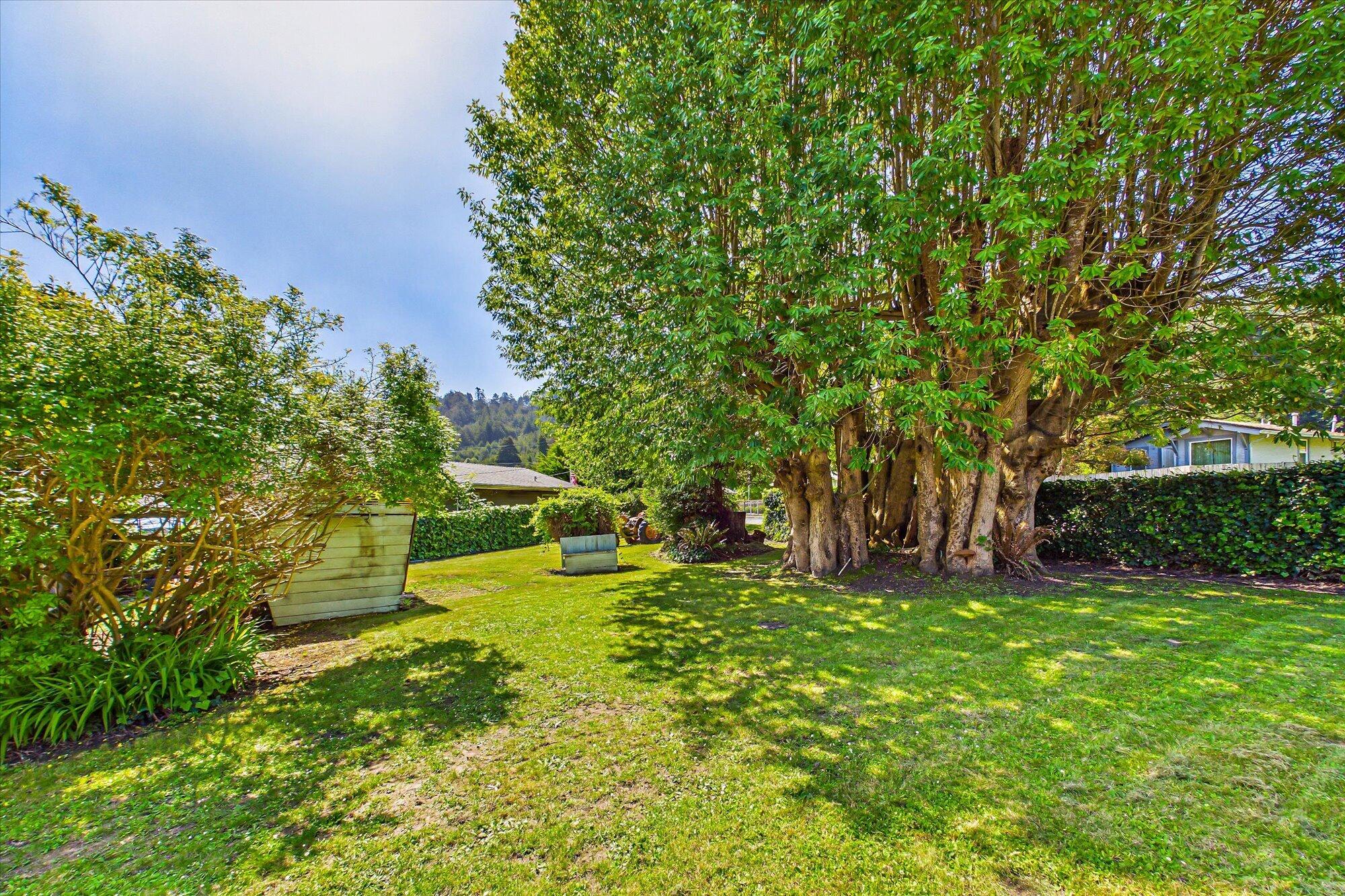 305 Belleview Avenue