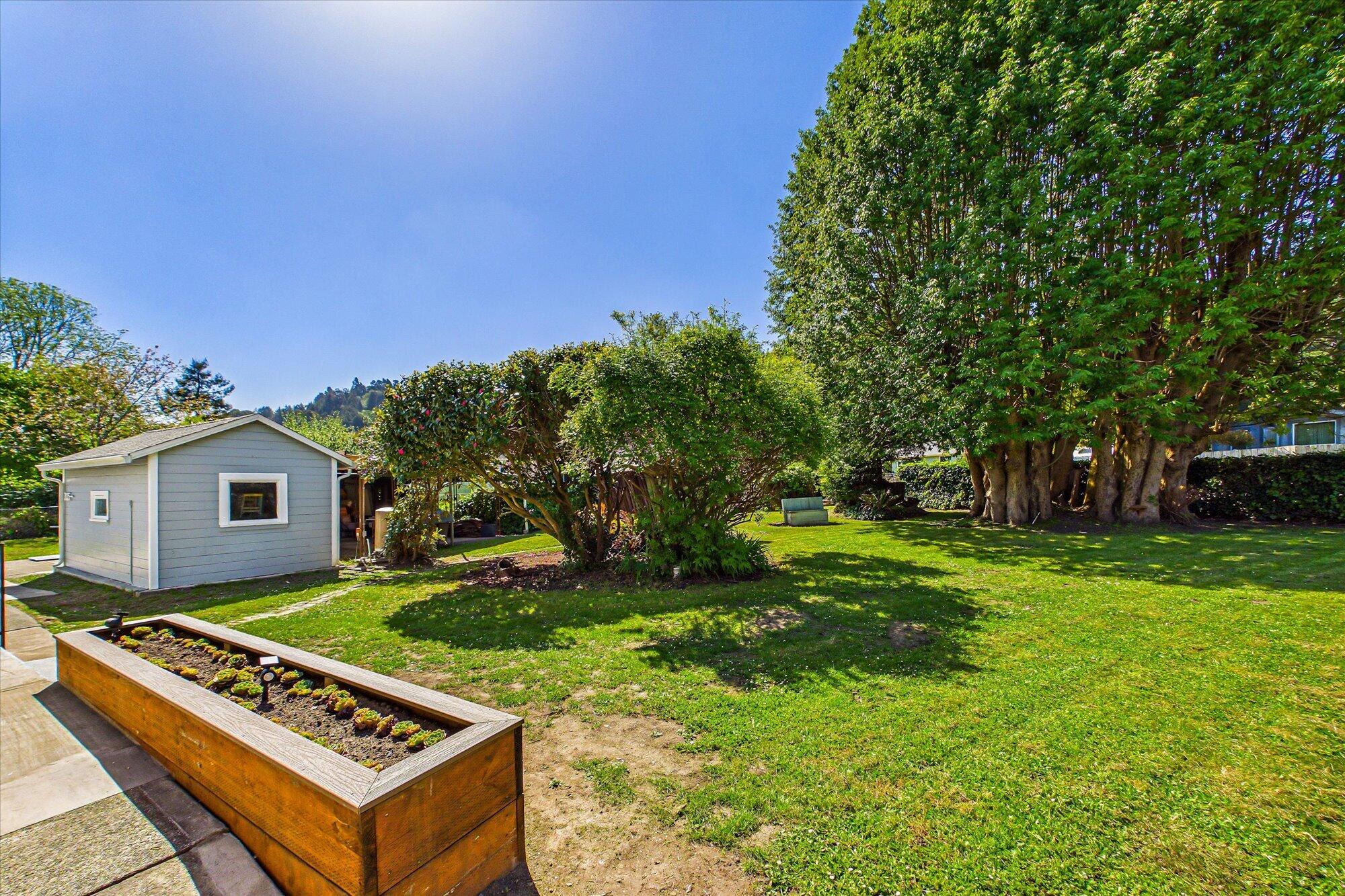 305 Belleview Avenue