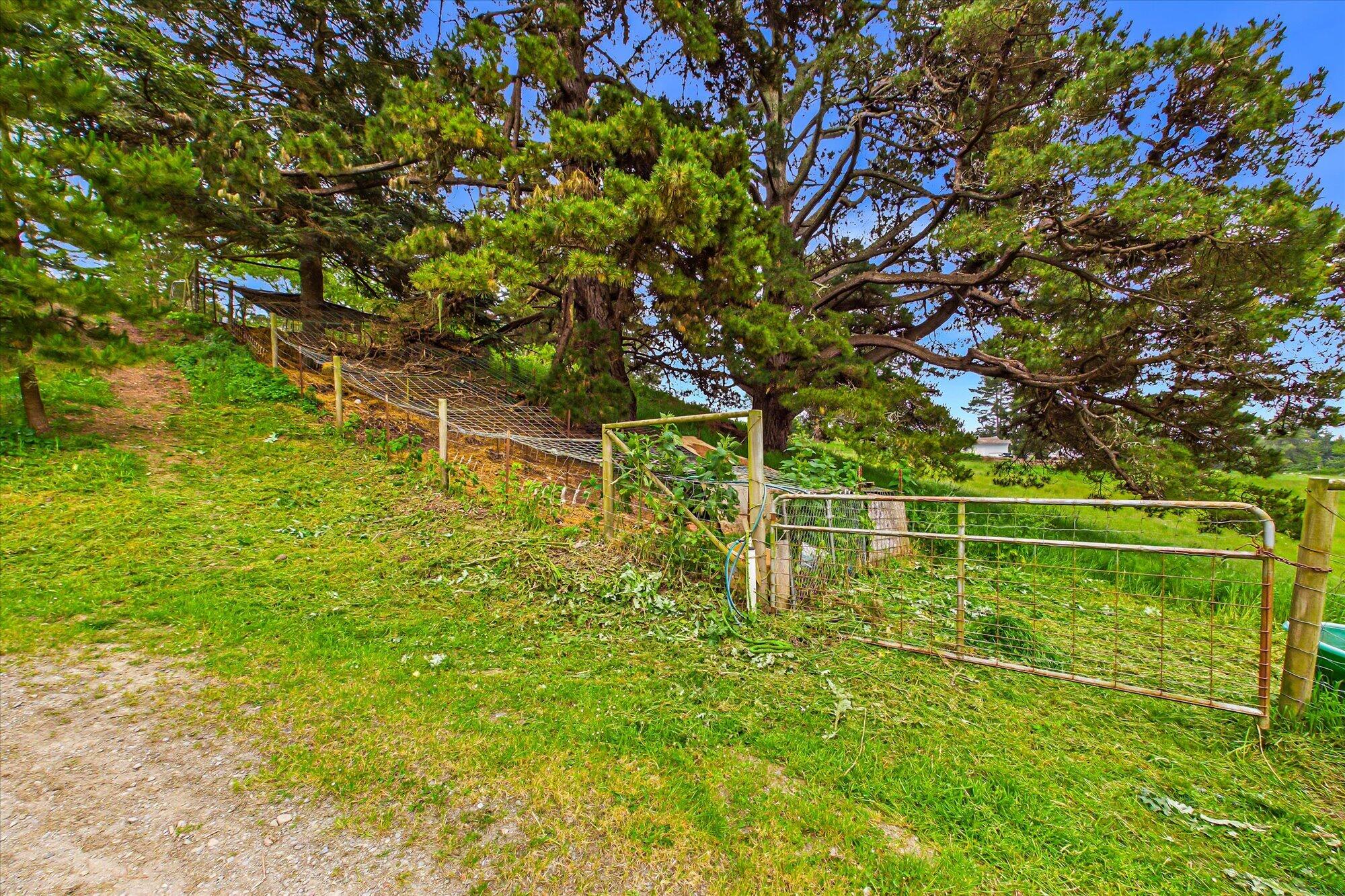 6483 Rohnerville Road