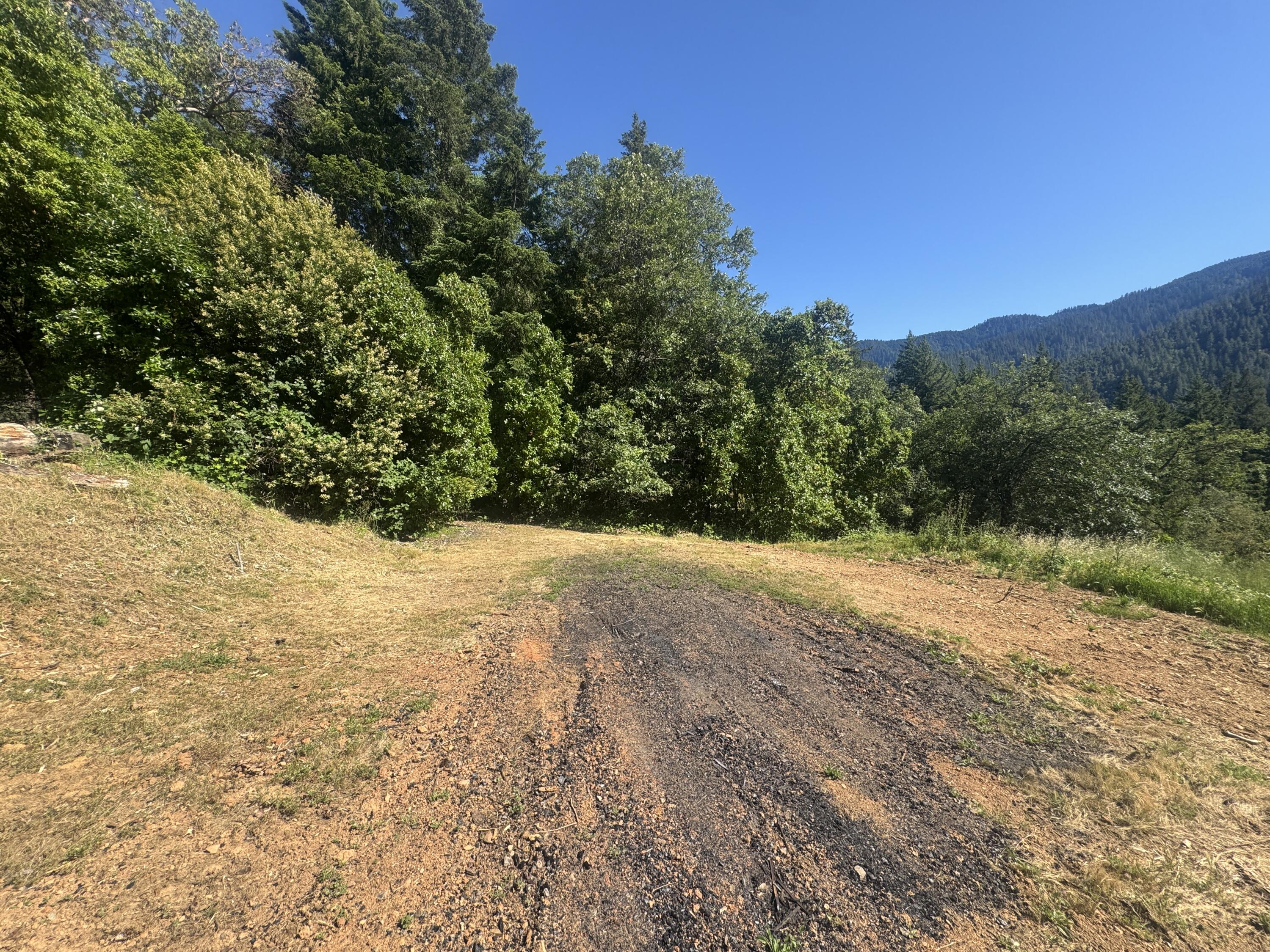 271 Coon Creek Road
