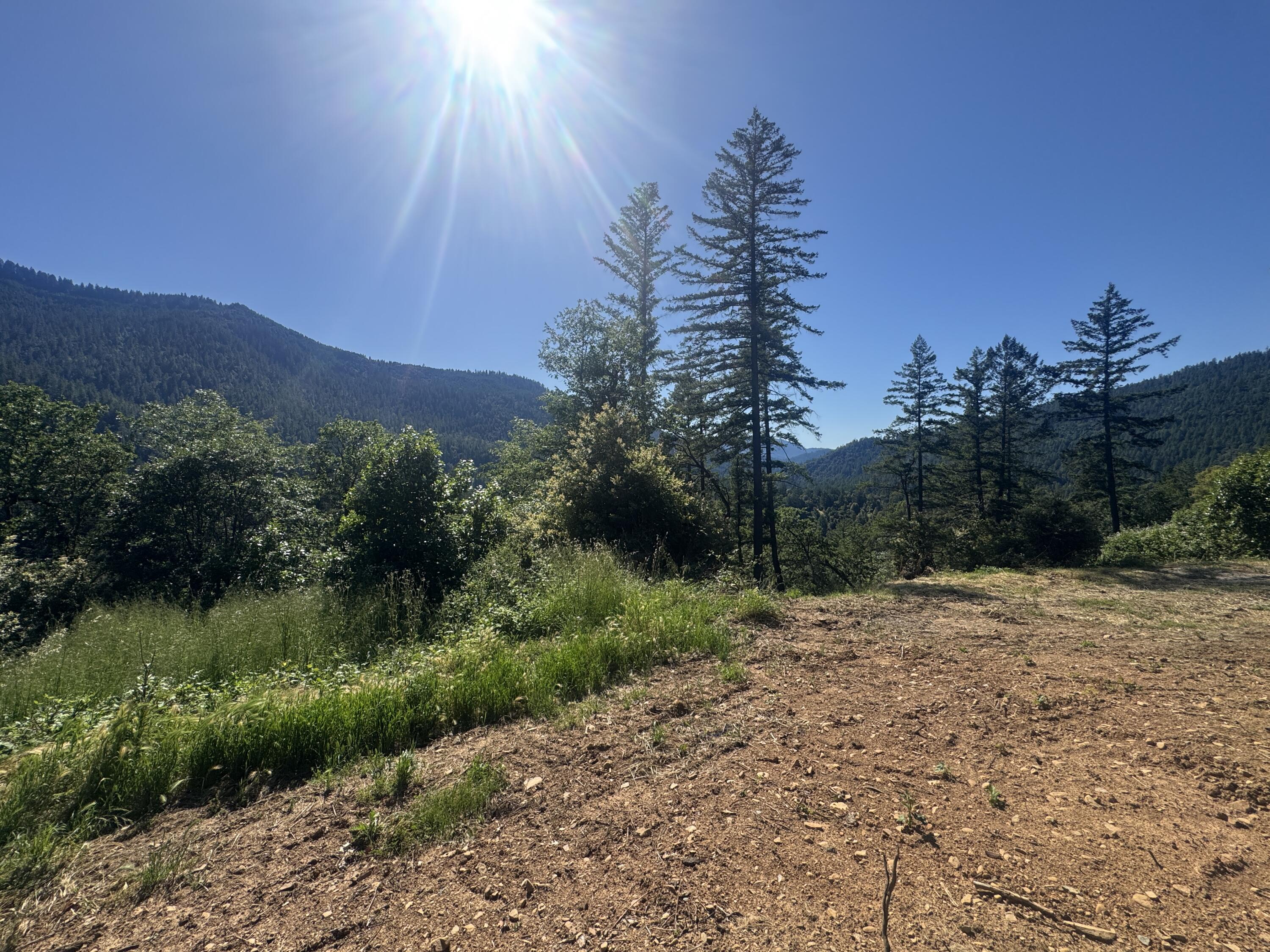 271 Coon Creek Road