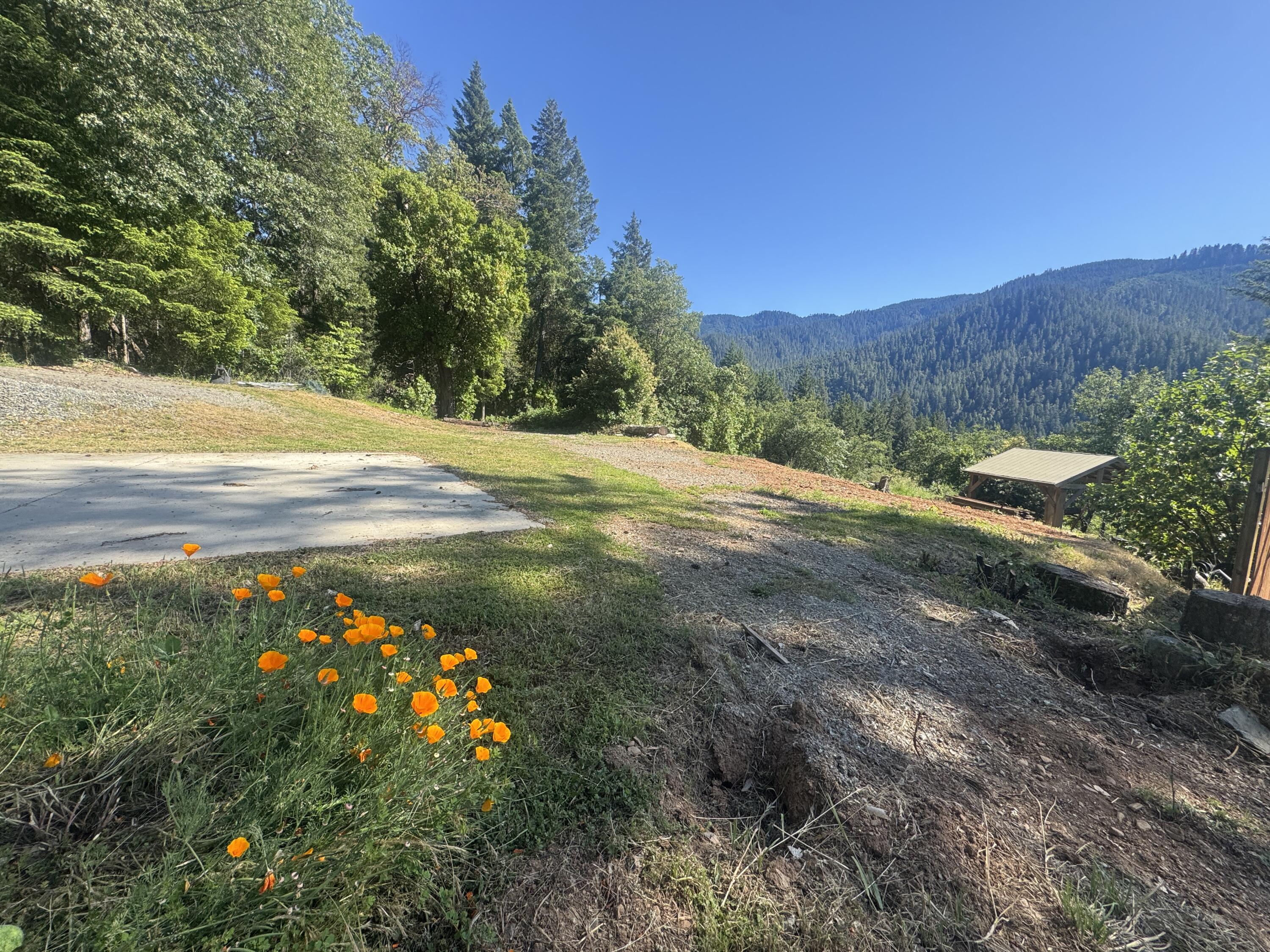 271 Coon Creek Road