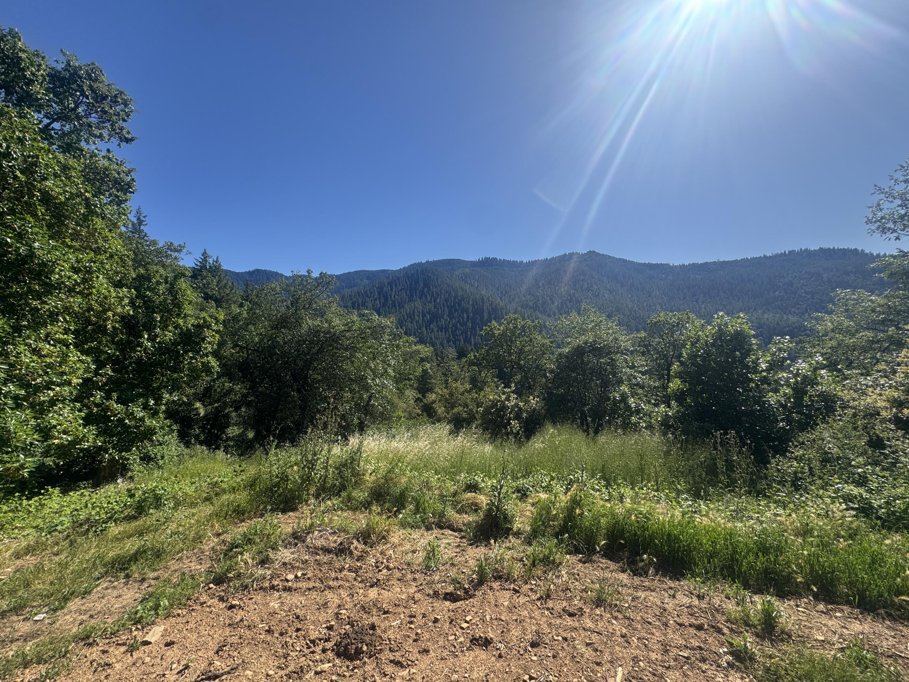 271 Coon Creek Road