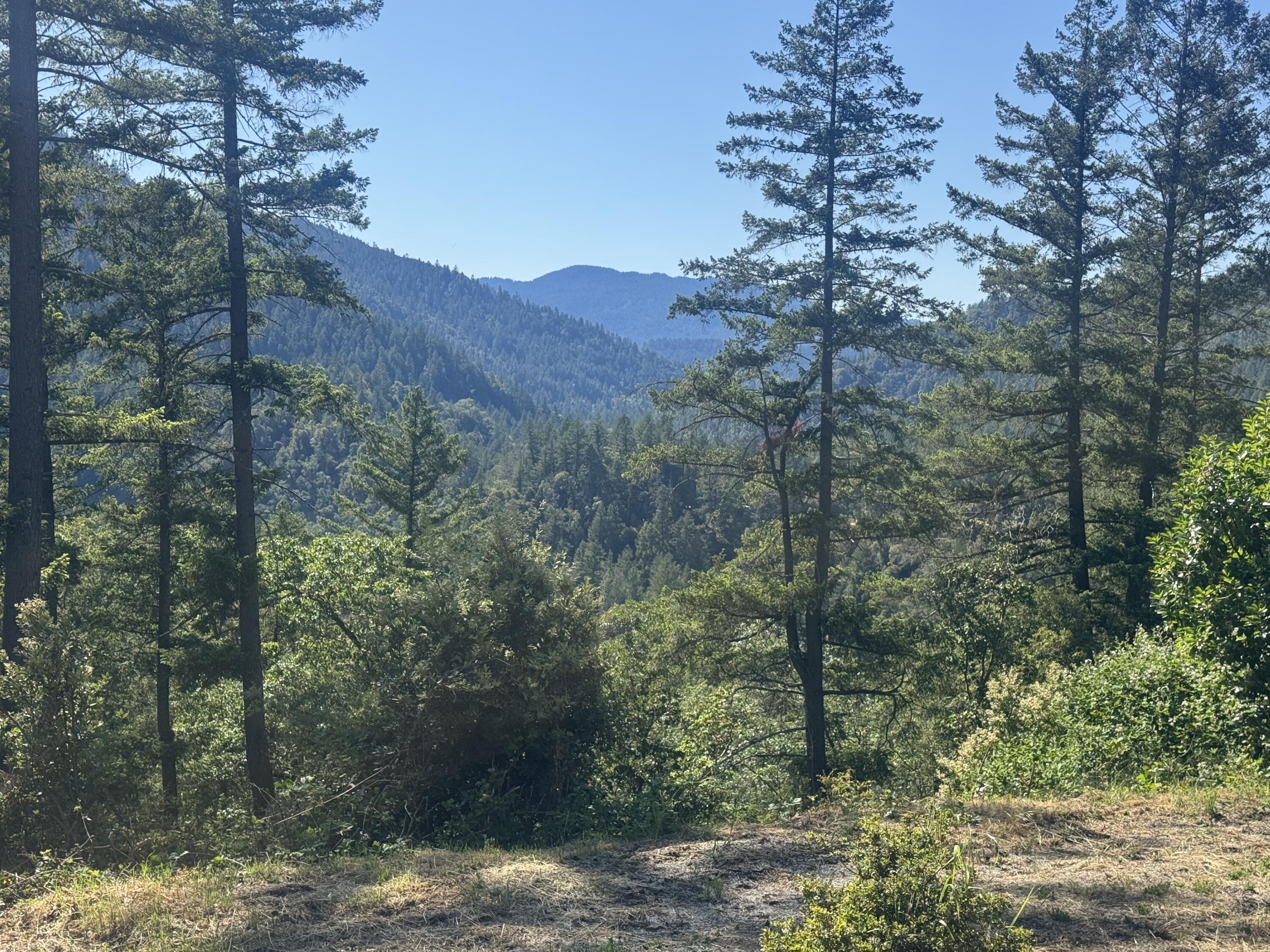 271 Coon Creek Road