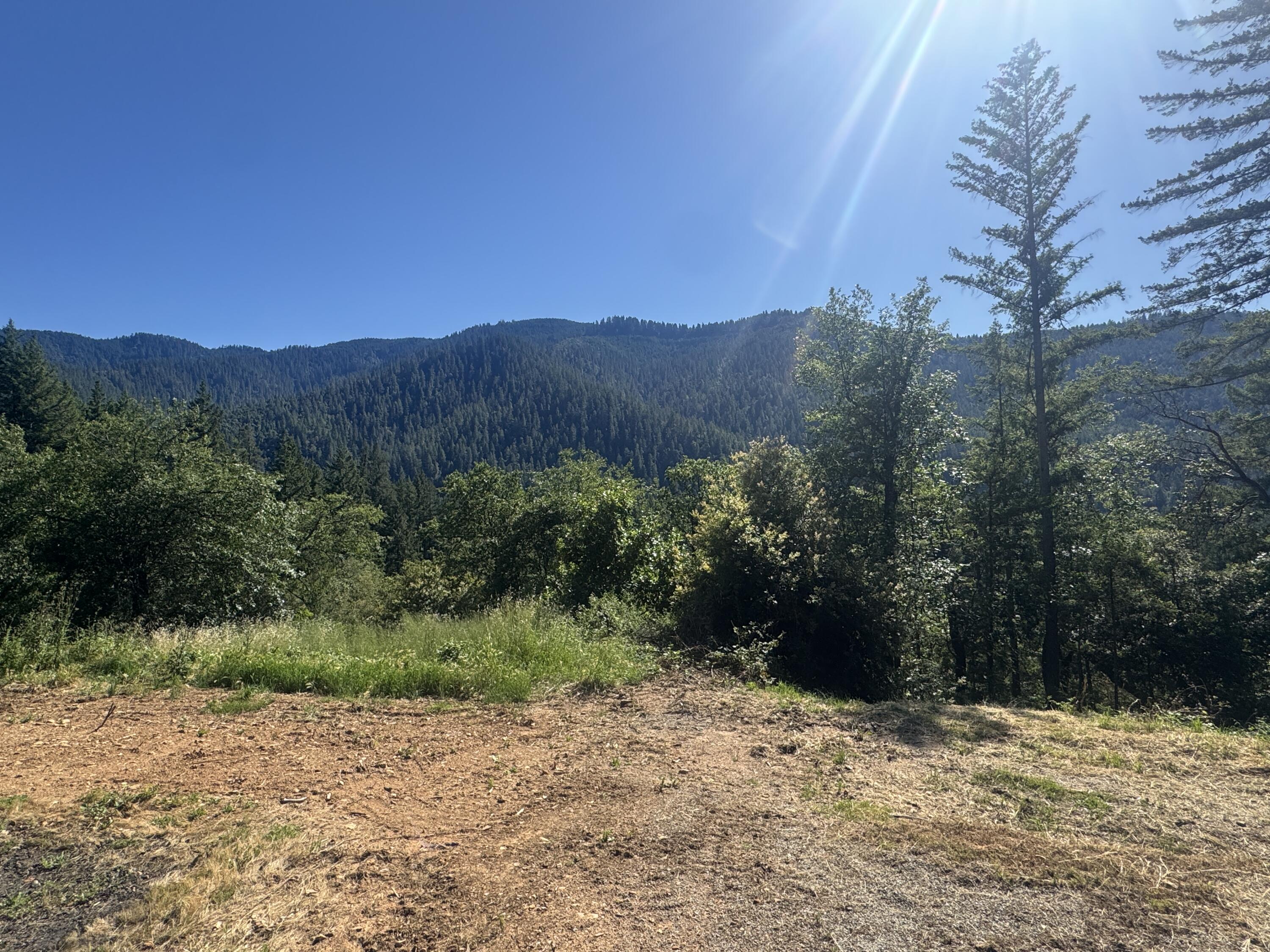 271 Coon Creek Road