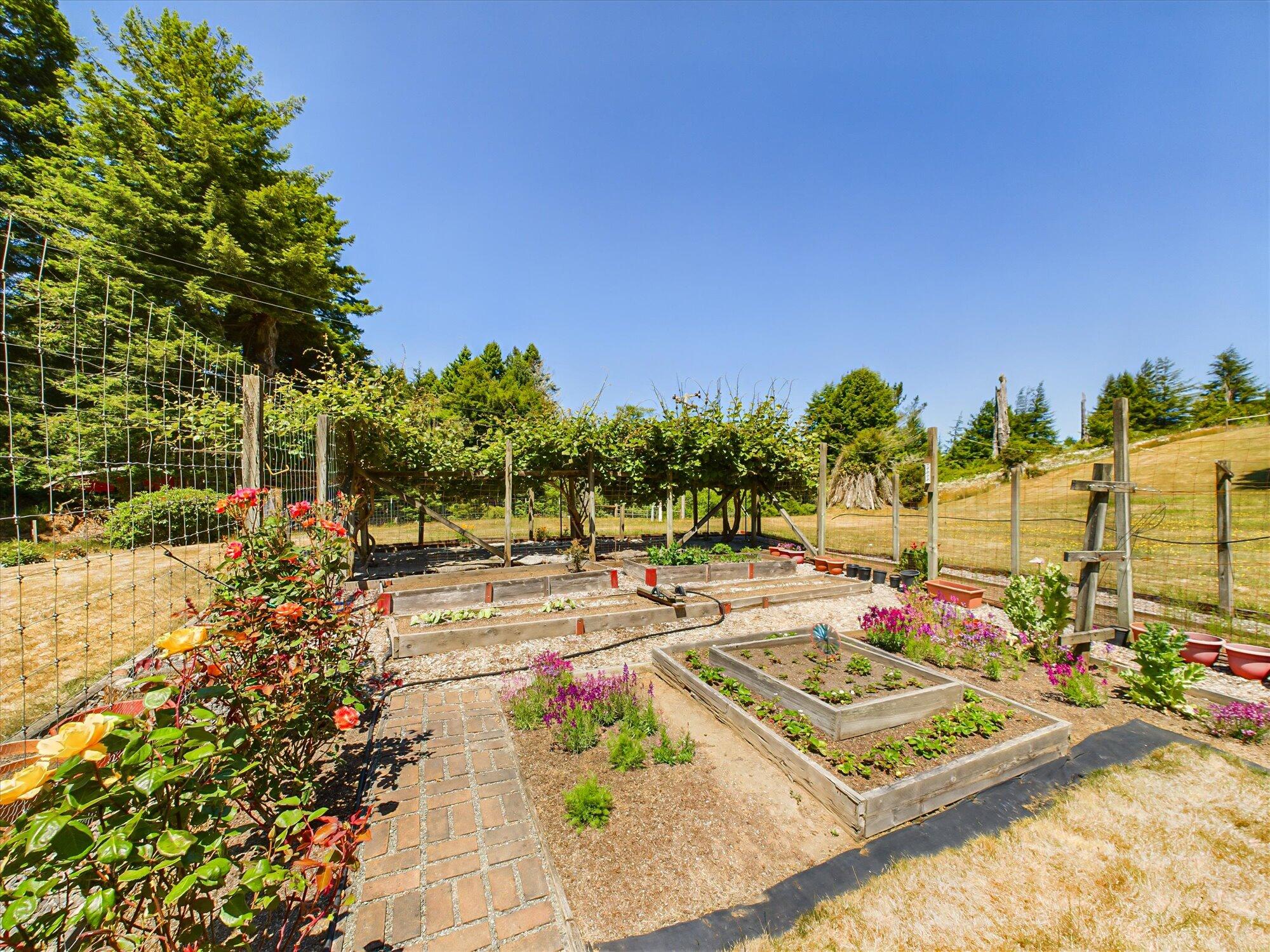 1172 Butte Road