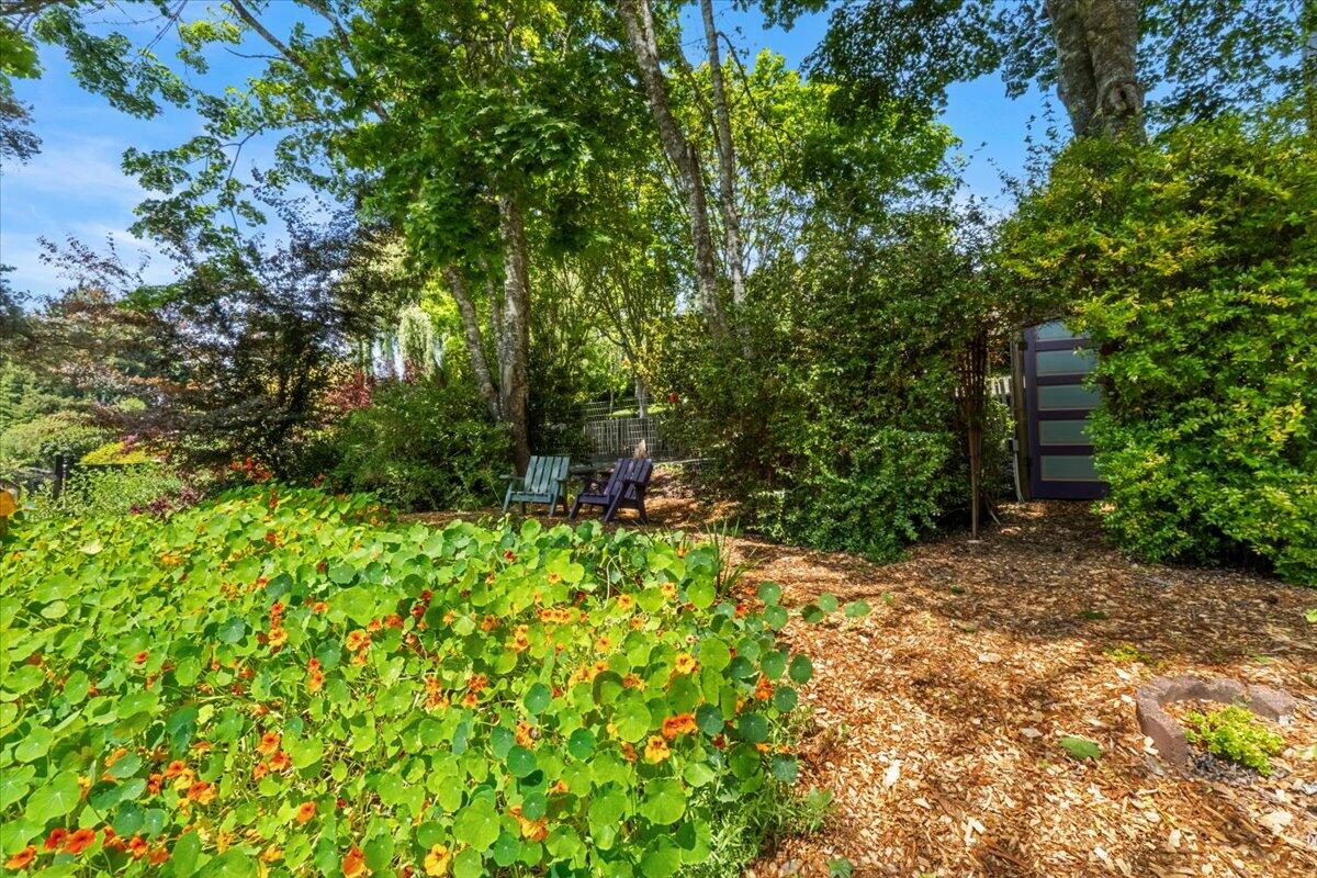 3584 Mitchell Heights Drive