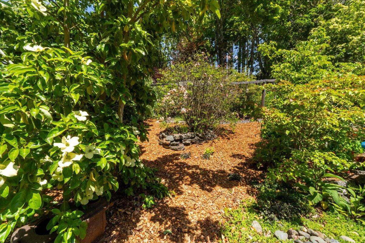 3584 Mitchell Heights Drive