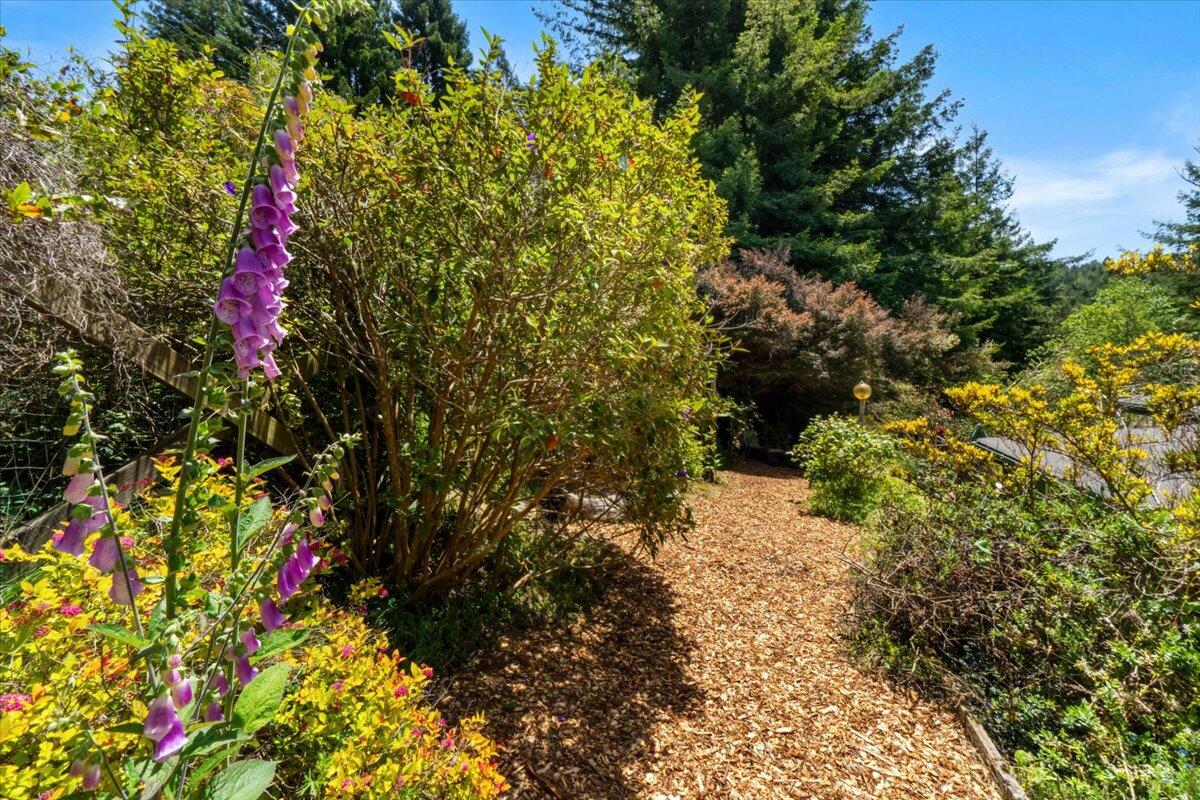 3584 Mitchell Heights Drive