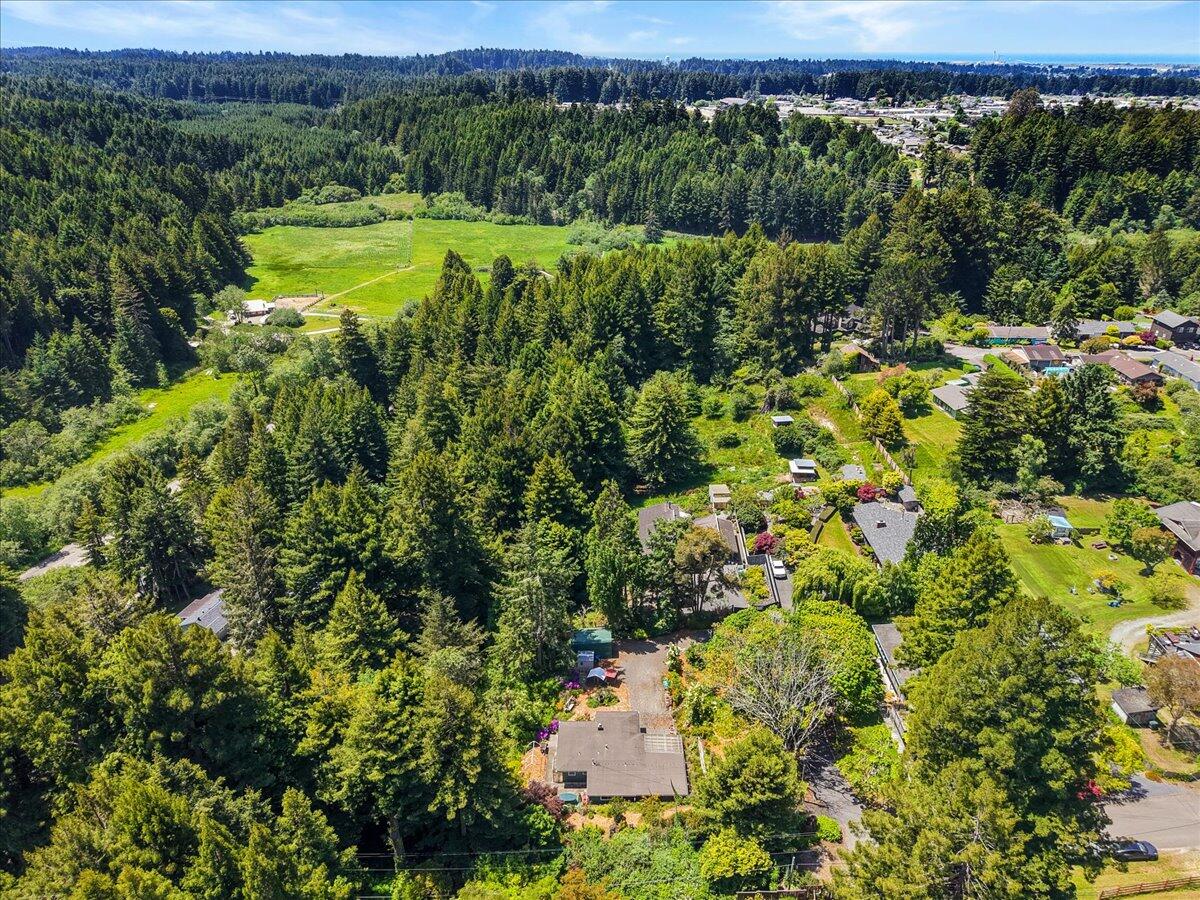 3584 Mitchell Heights Drive