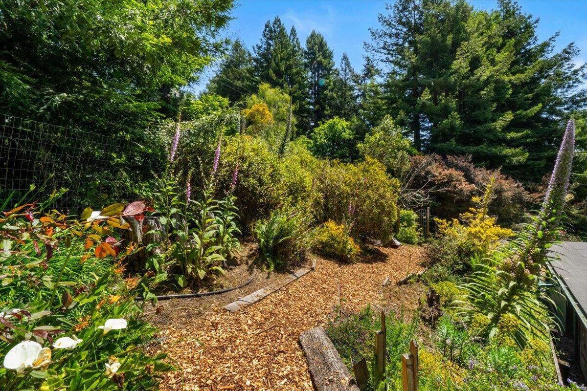 3584 Mitchell Heights Drive