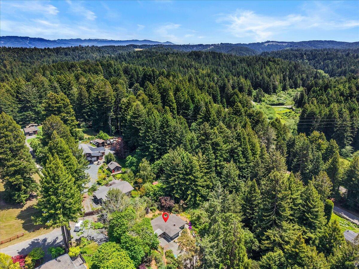 3584 Mitchell Heights Drive