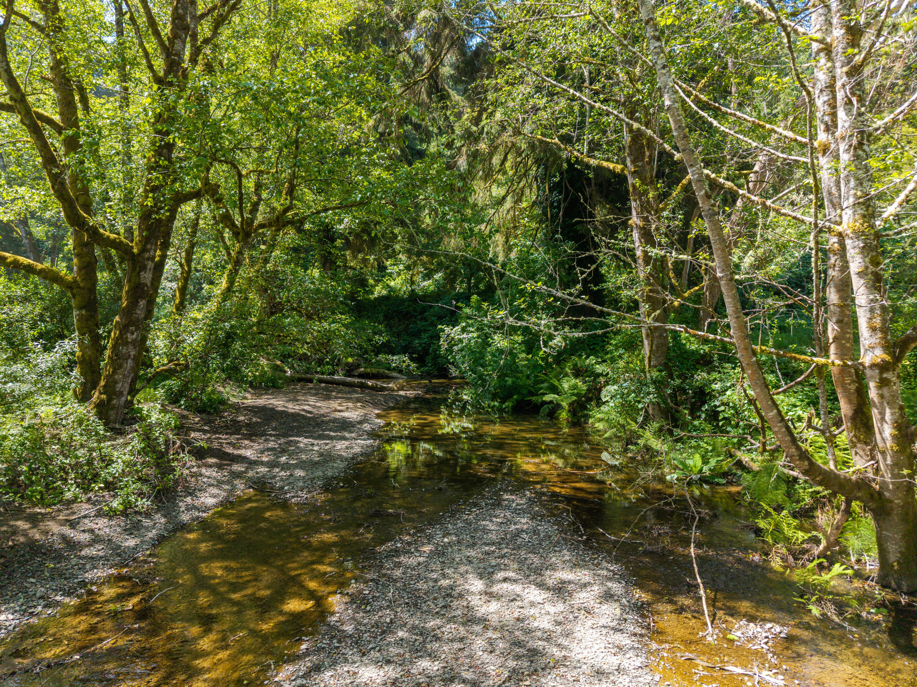 4149 Brookwood Drive