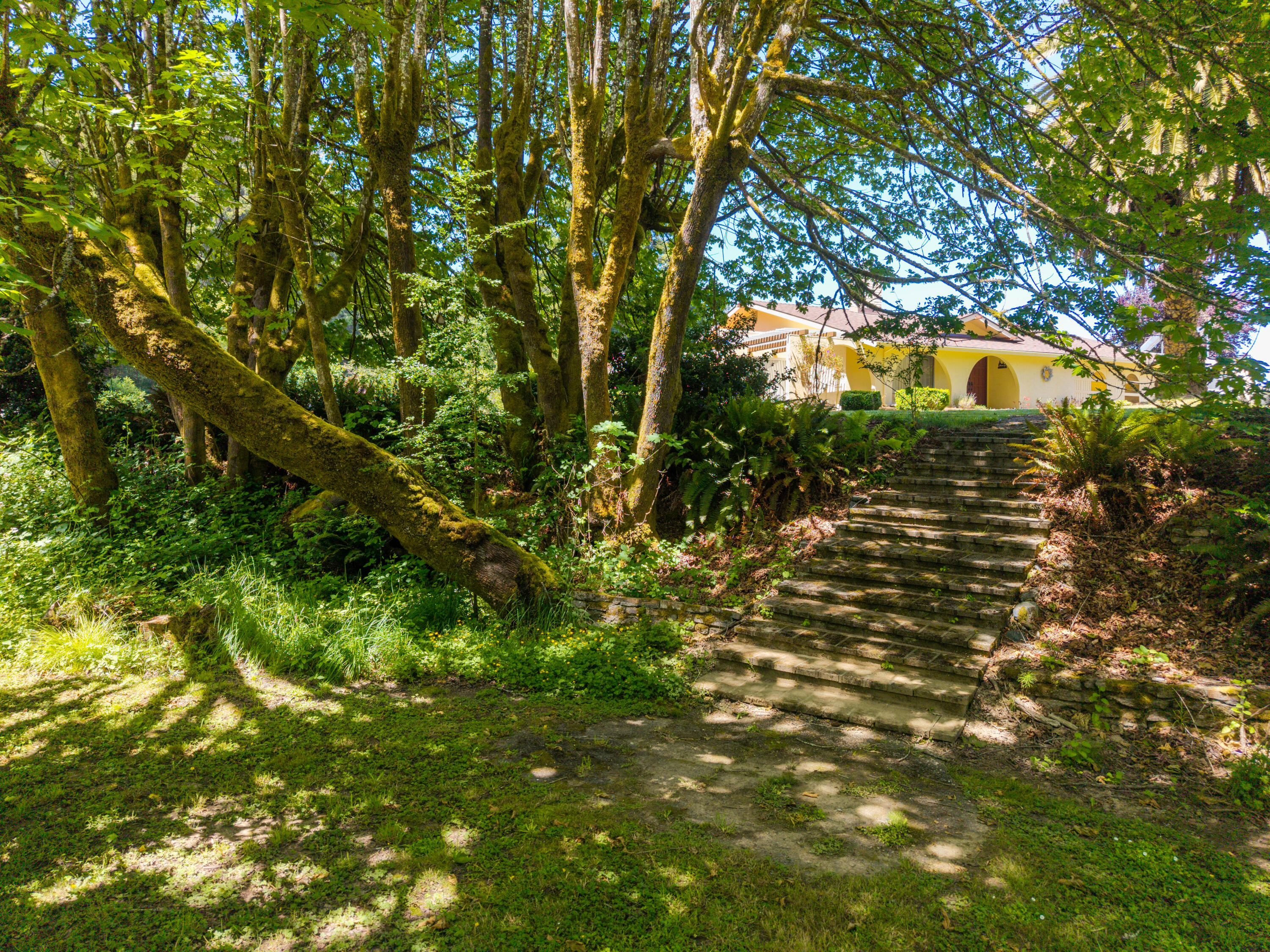 4149 Brookwood Drive