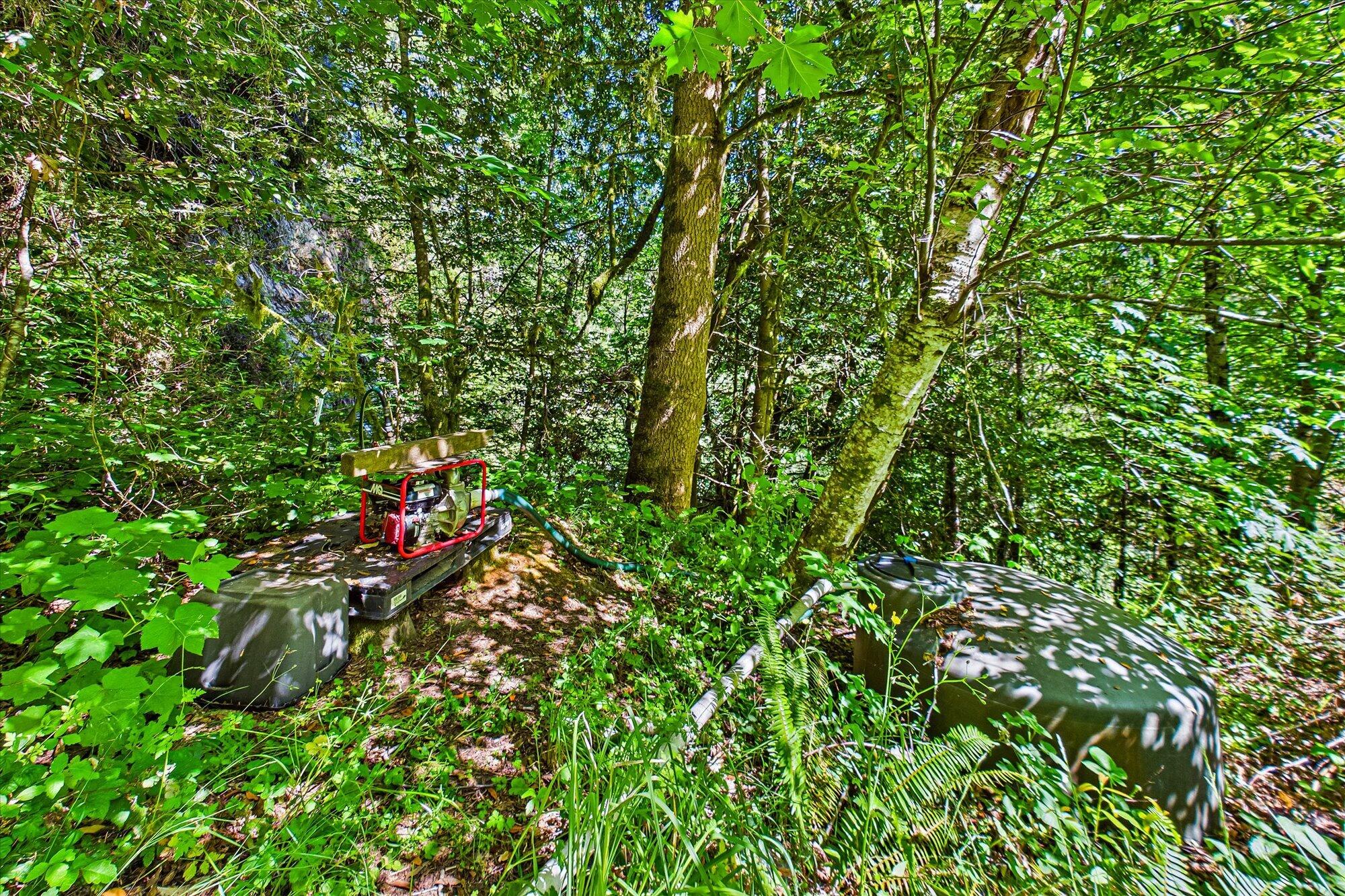 1300 Black Creek Road