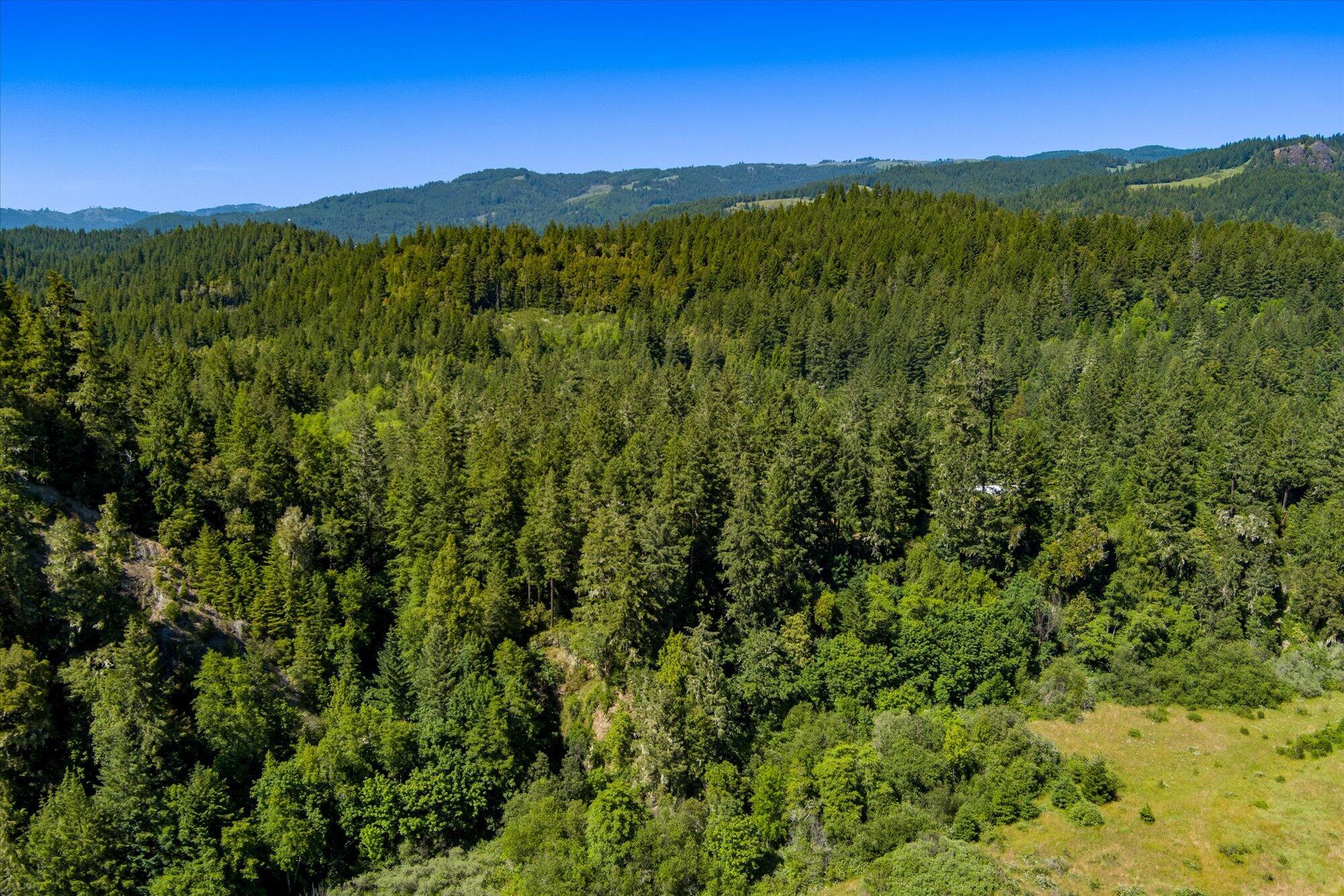 1300 Black Creek Road