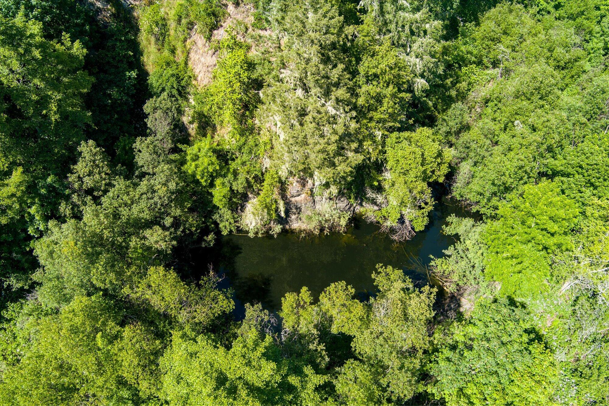 1300 Black Creek Road