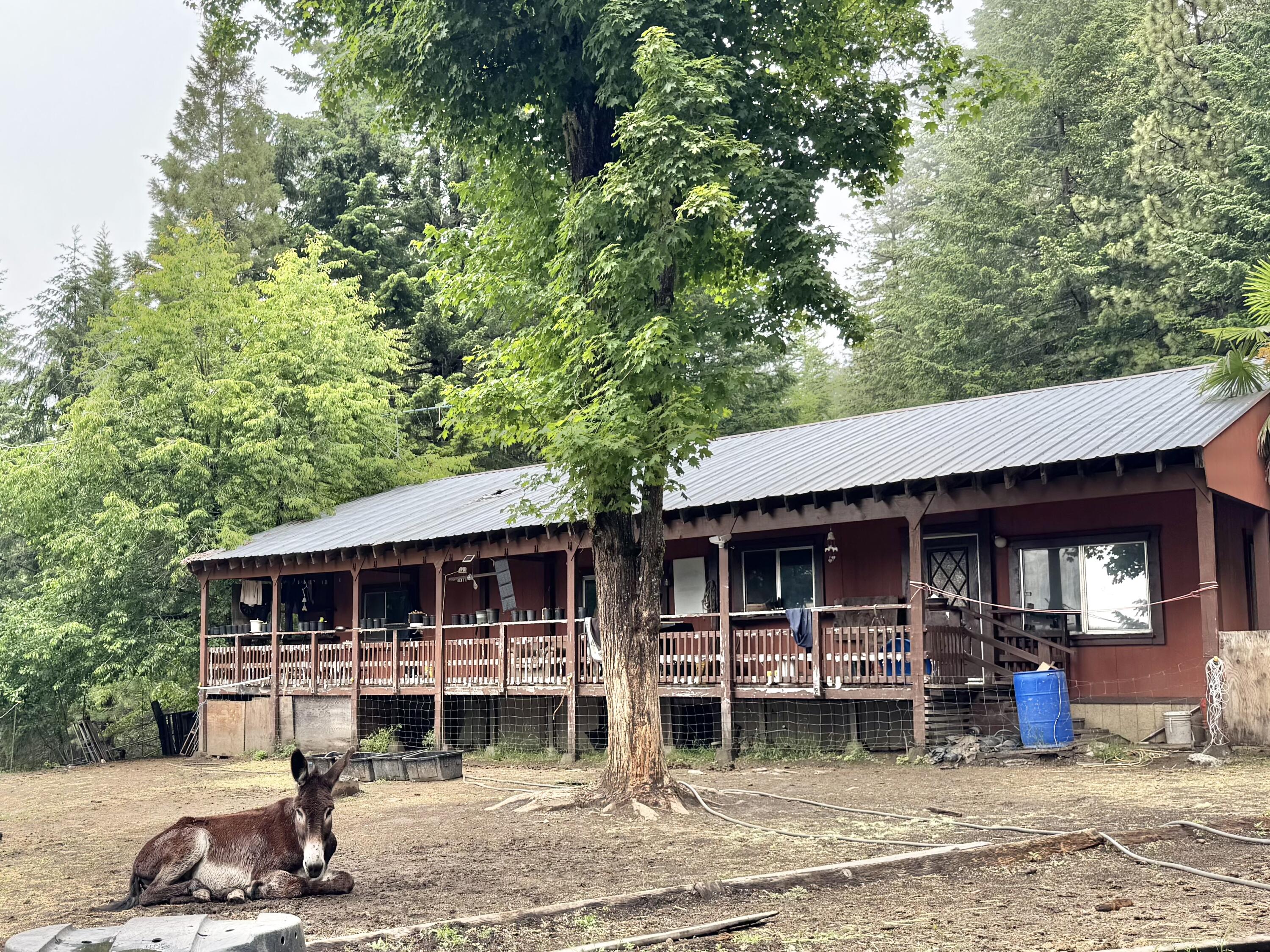12575 Buck Mountain Road