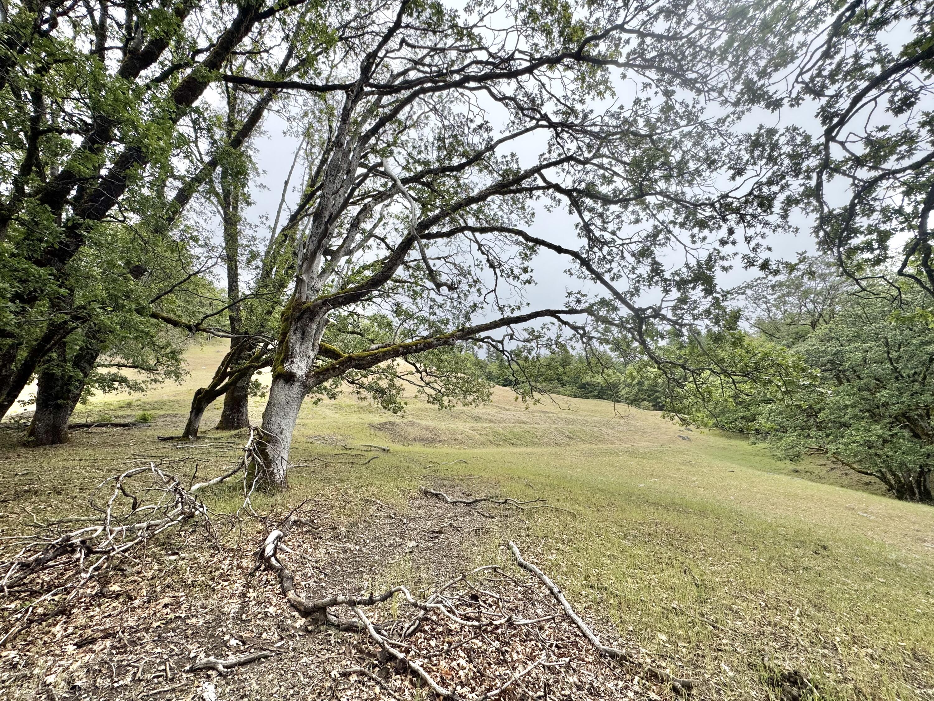 12575 Buck Mountain Road